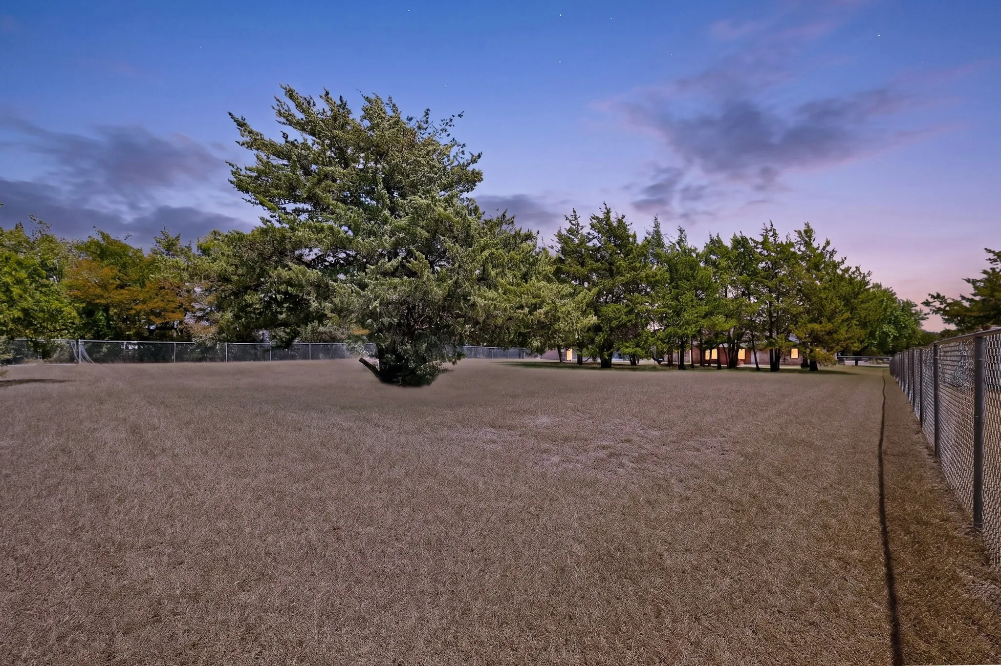 Expansive lot featuring a mature tree, perimeter fencing, and a line of evergreen trees