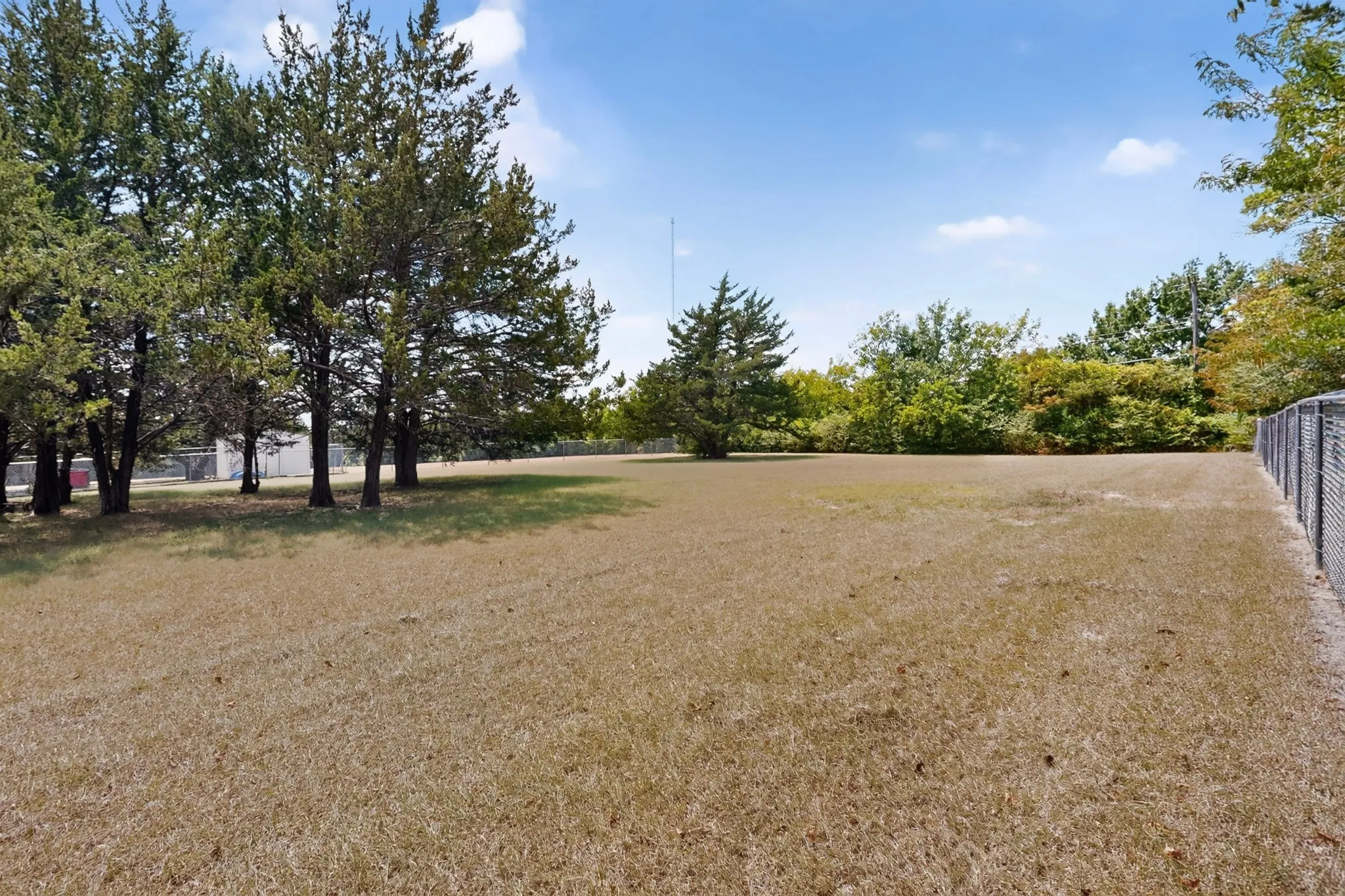 Expansive open lot with mature trees and perimeter fencing