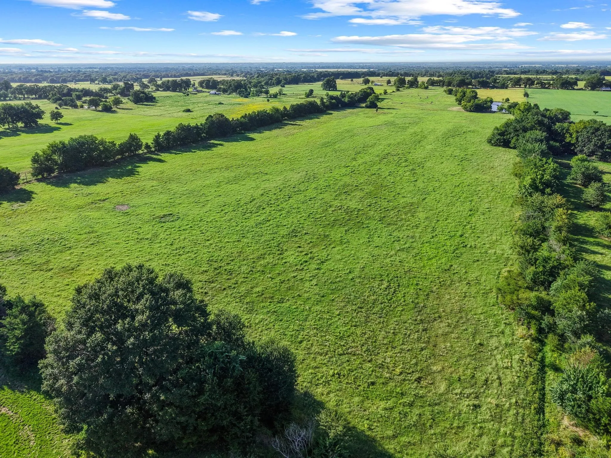 For Sale in Fannin County , 000 County Road 2131, Telephone, Texas 75488, 0, 0, Garage spaces, 0 Sqft, built in 0, Price $379,500, mls#21364685, Real Estate Agent in Telephone, Homes For Sale in Fannin county, Homes For Sale in Telephone, Realtor in Telephone Texas, Real Estate Brokerage Independent Realty Texas, Luminita Cordes Realtor