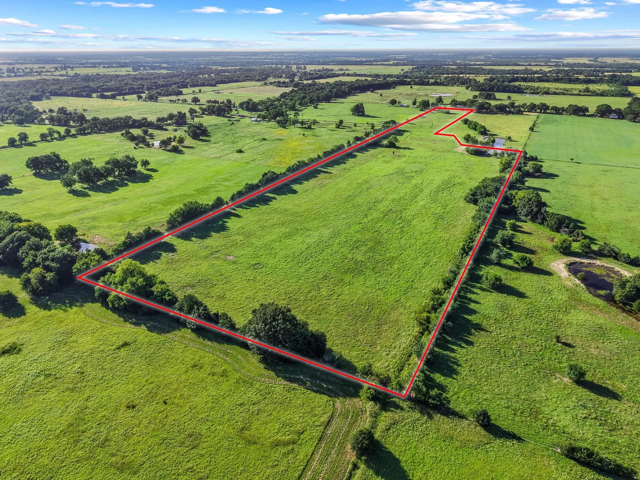 For Sale in Fannin County , 000 County Road 2131, Telephone, Texas 75488, 0, 0, Garage spaces, 0 Sqft, built in 0, Price $379,500, mls#21364685, Real Estate Agent in Telephone, Homes For Sale in Fannin county, Homes For Sale in Telephone, Realtor in Telephone Texas, Real Estate Brokerage Independent Realty Texas, Luminita Cordes Realtor