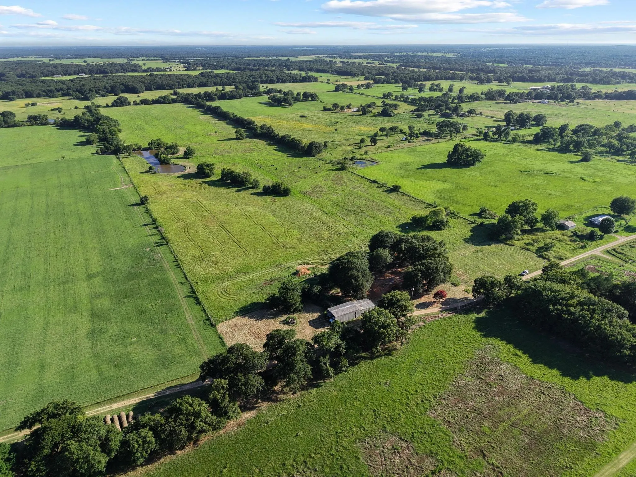 For Sale in Fannin County , 000 County Road 2131, Telephone, Texas 75488, 0, 0, Garage spaces, 0 Sqft, built in 0, Price $379,500, mls#21364685, Real Estate Agent in Telephone, Homes For Sale in Fannin county, Homes For Sale in Telephone, Realtor in Telephone Texas, Real Estate Brokerage Independent Realty Texas, Luminita Cordes Realtor
