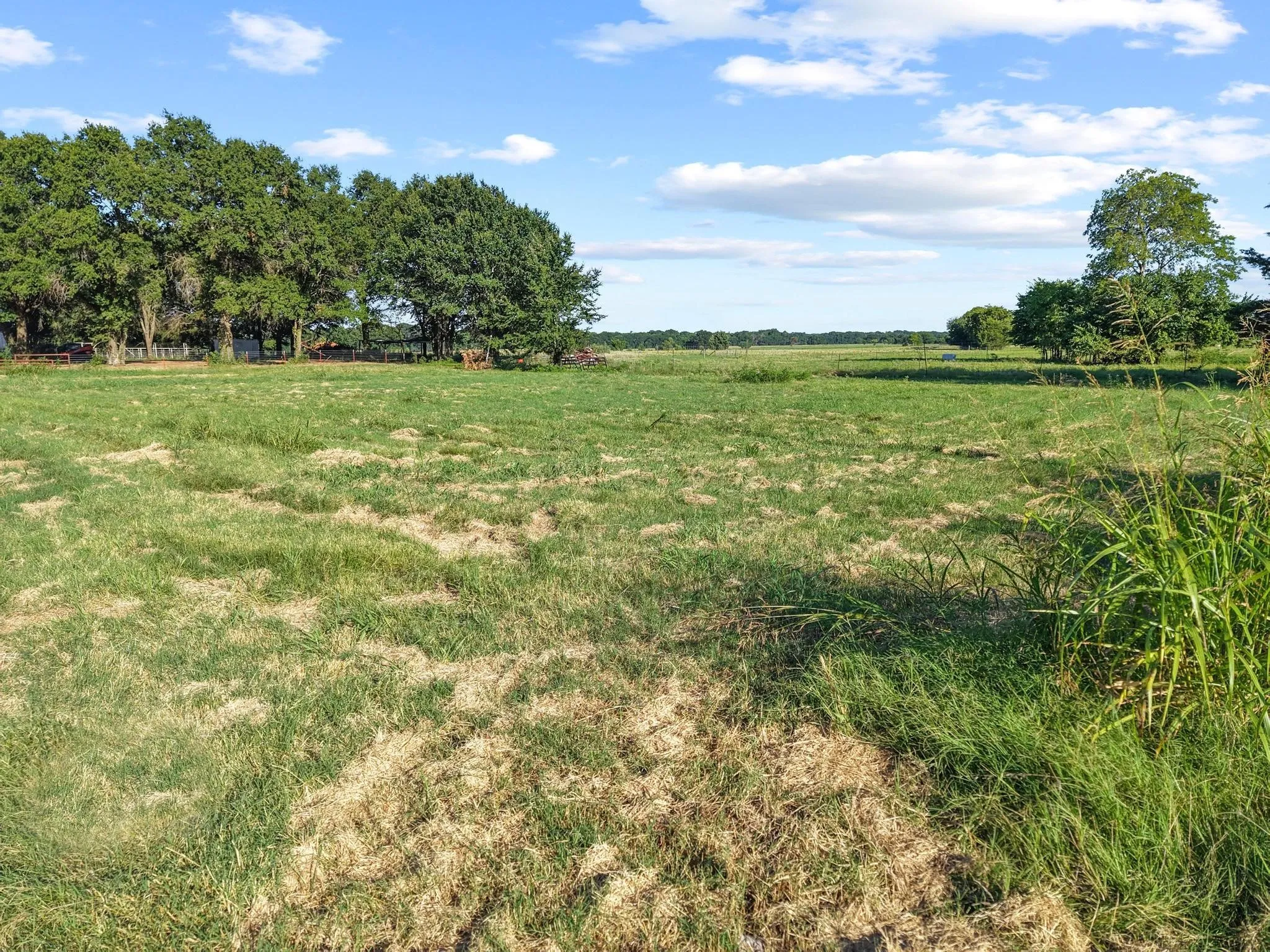 For Sale in Fannin County , 000 County Road 2131, Telephone, Texas 75488, 0, 0, Garage spaces, 0 Sqft, built in 0, Price $379,500, mls#21364685, Real Estate Agent in Telephone, Homes For Sale in Fannin county, Homes For Sale in Telephone, Realtor in Telephone Texas, Real Estate Brokerage Independent Realty Texas, Luminita Cordes Realtor