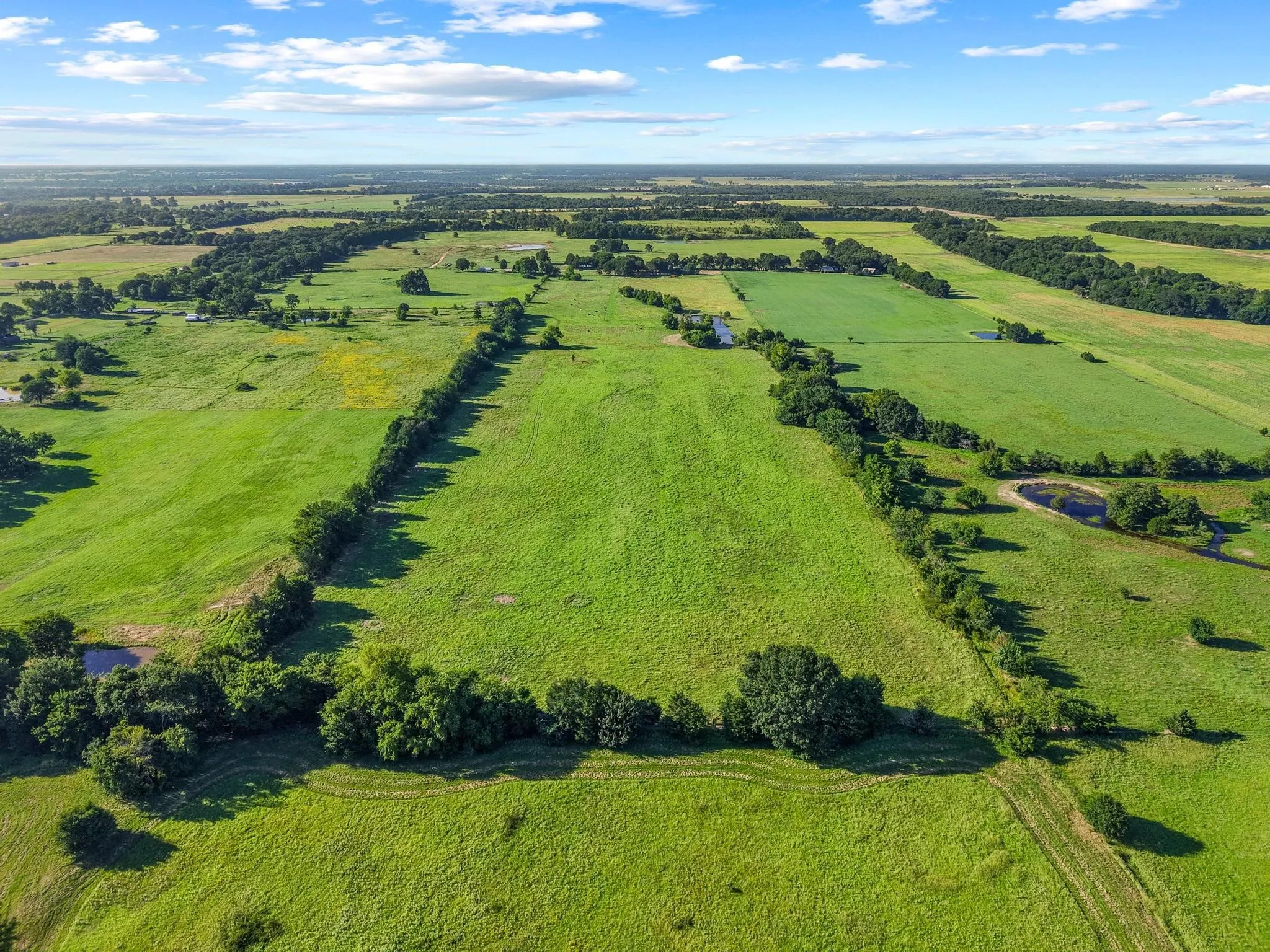 For Sale in Fannin County , 000 County Road 2131, Telephone, Texas 75488, 0, 0, Garage spaces, 0 Sqft, built in 0, Price $379,500, mls#21364685, Real Estate Agent in Telephone, Homes For Sale in Fannin county, Homes For Sale in Telephone, Realtor in Telephone Texas, Real Estate Brokerage Independent Realty Texas, Luminita Cordes Realtor