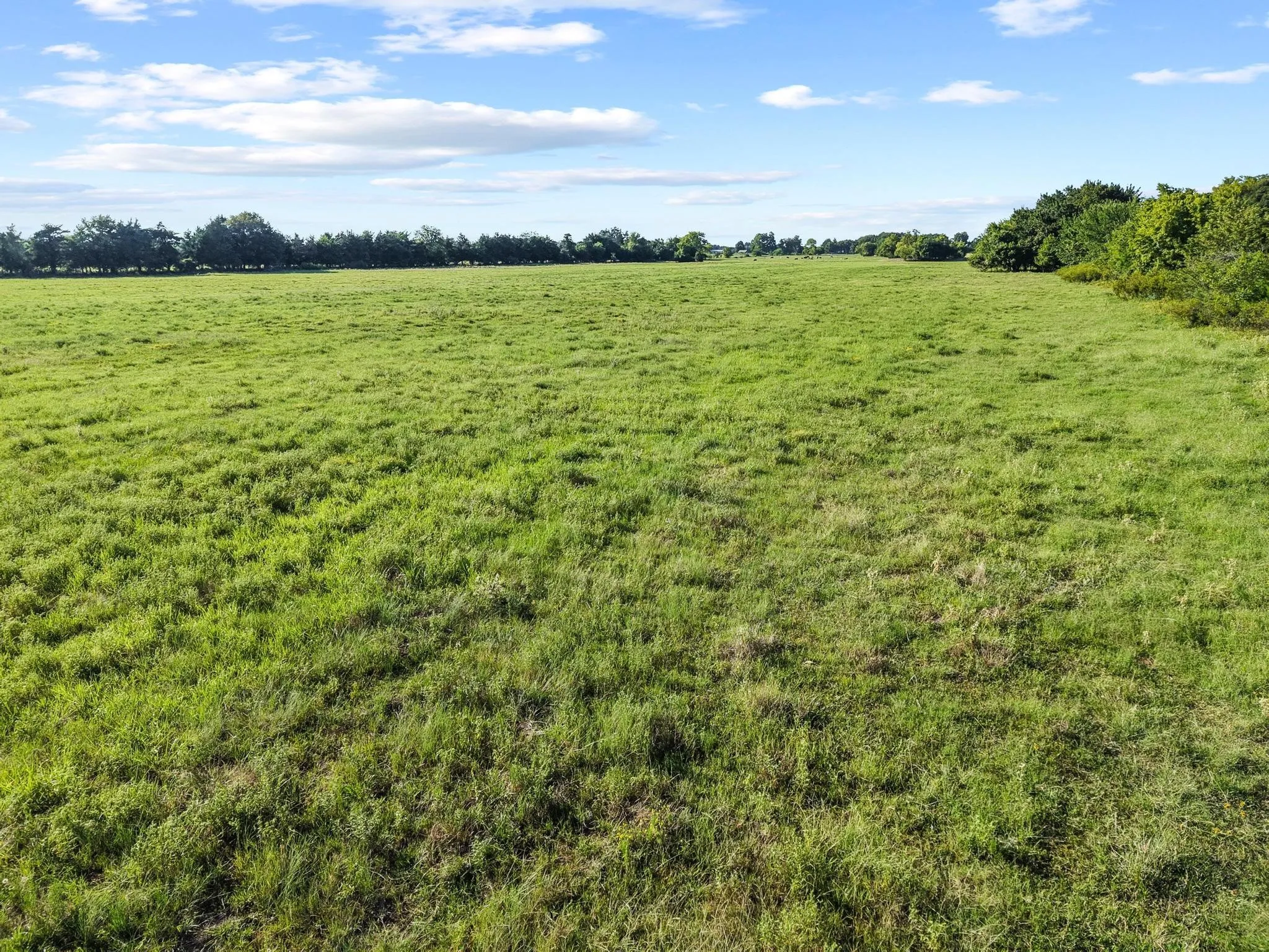For Sale in Fannin County , 000 County Road 2131, Telephone, Texas 75488, 0, 0, Garage spaces, 0 Sqft, built in 0, Price $379,500, mls#21364685, Real Estate Agent in Telephone, Homes For Sale in Fannin county, Homes For Sale in Telephone, Realtor in Telephone Texas, Real Estate Brokerage Independent Realty Texas, Luminita Cordes Realtor