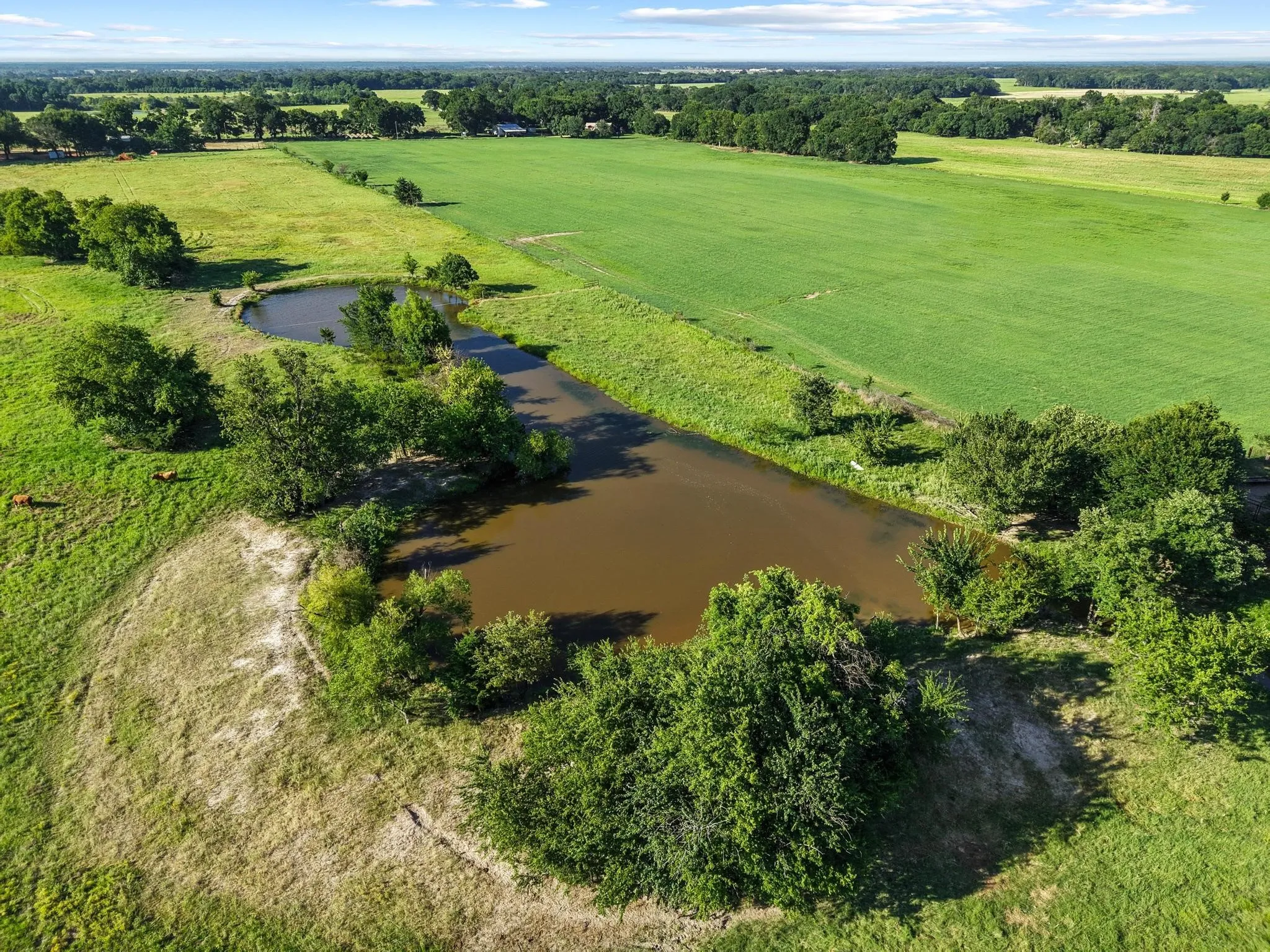 For Sale in Fannin County , 000 County Road 2131, Telephone, Texas 75488, 0, 0, Garage spaces, 0 Sqft, built in 0, Price $379,500, mls#21364685, Real Estate Agent in Telephone, Homes For Sale in Fannin county, Homes For Sale in Telephone, Realtor in Telephone Texas, Real Estate Brokerage Independent Realty Texas, Luminita Cordes Realtor