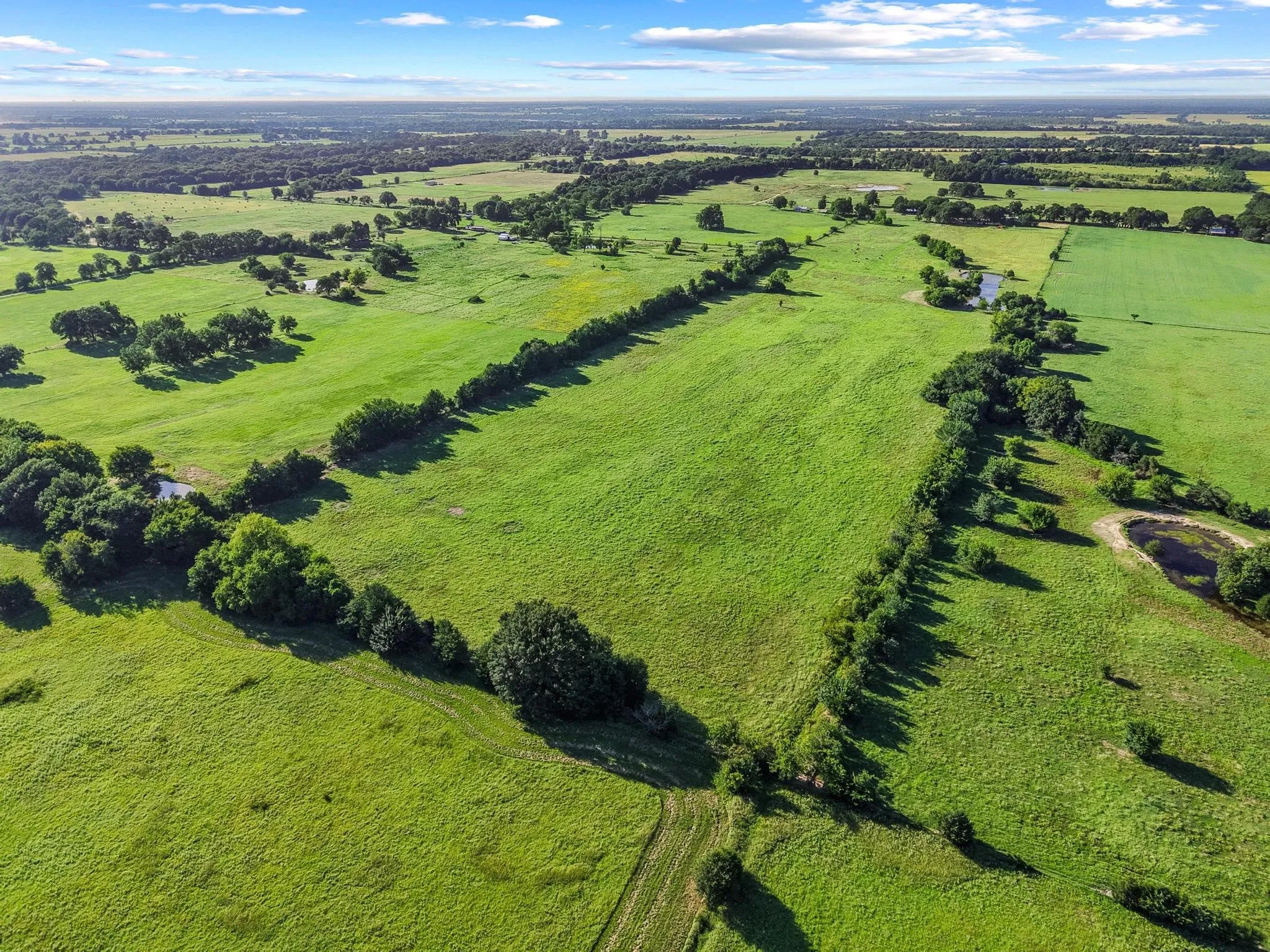 For Sale in Fannin County , 000 County Road 2131, Telephone, Texas 75488, 0, 0, Garage spaces, 0 Sqft, built in 0, Price $379,500, mls#21364685, Real Estate Agent in Telephone, Homes For Sale in Fannin county, Homes For Sale in Telephone, Realtor in Telephone Texas, Real Estate Brokerage Independent Realty Texas, Luminita Cordes Realtor