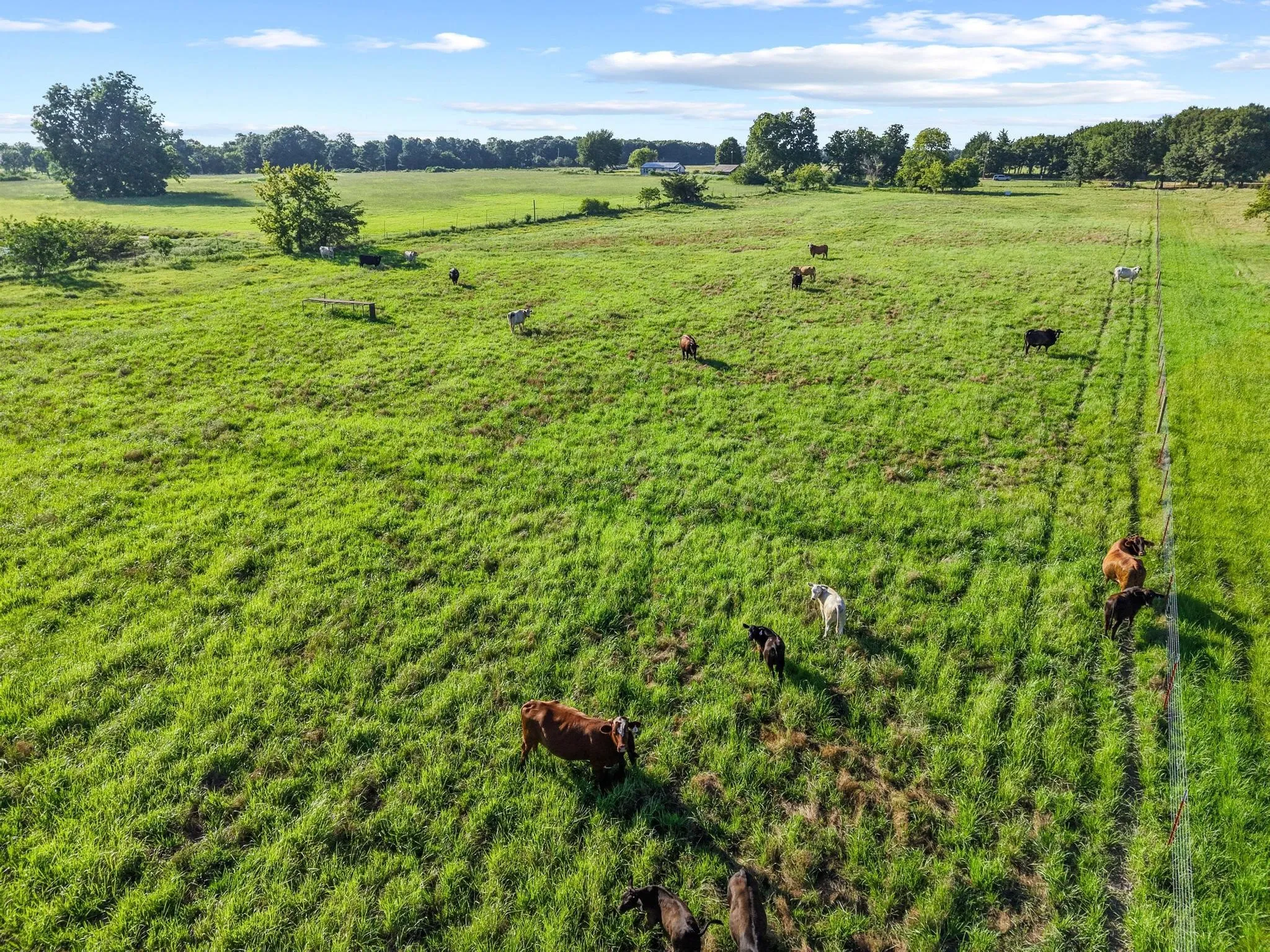 For Sale in Fannin County , 000 County Road 2131, Telephone, Texas 75488, 0, 0, Garage spaces, 0 Sqft, built in 0, Price $379,500, mls#21364685, Real Estate Agent in Telephone, Homes For Sale in Fannin county, Homes For Sale in Telephone, Realtor in Telephone Texas, Real Estate Brokerage Independent Realty Texas, Luminita Cordes Realtor