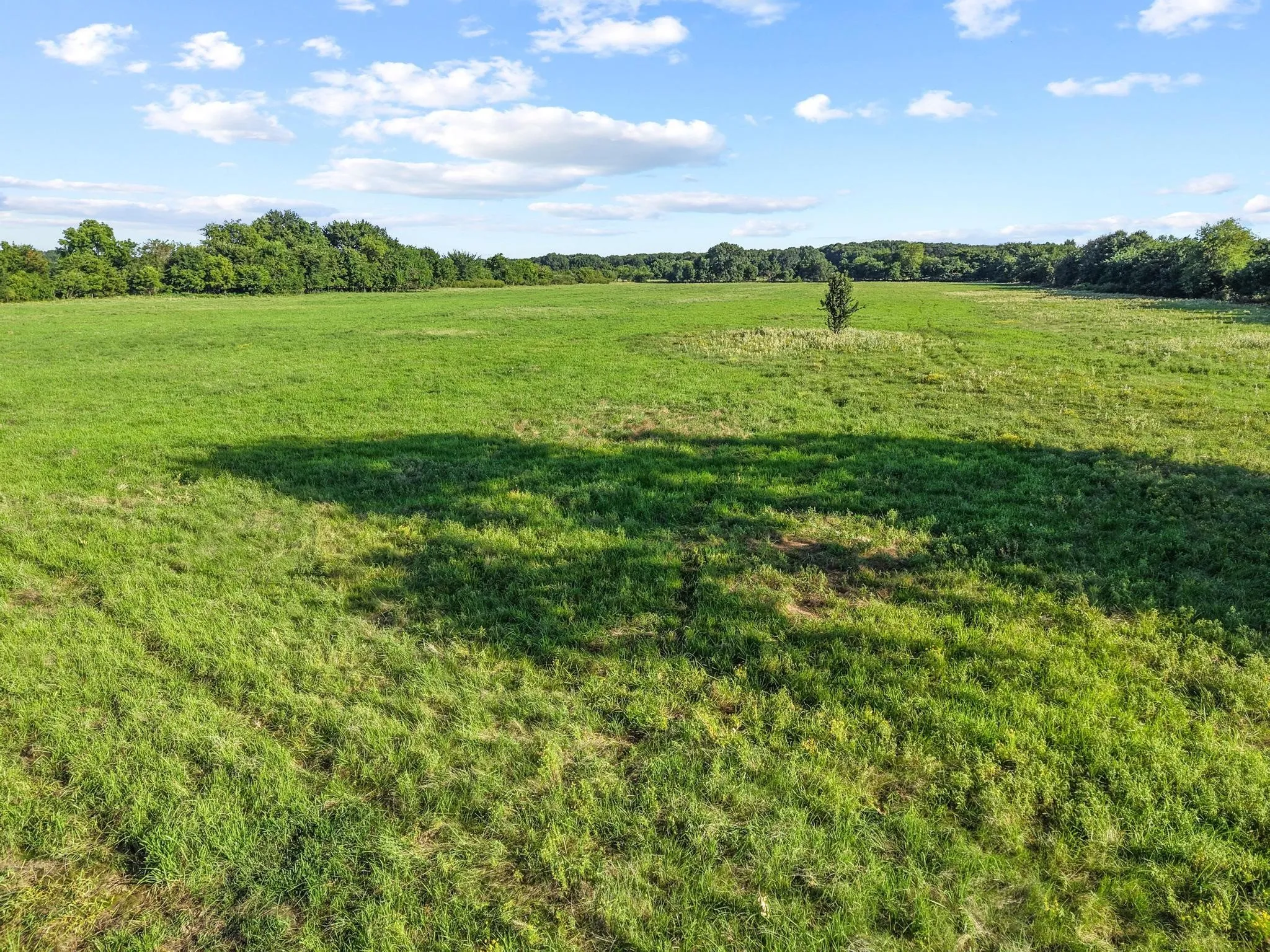 For Sale in Fannin County , 000 County Road 2131, Telephone, Texas 75488, 0, 0, Garage spaces, 0 Sqft, built in 0, Price $379,500, mls#21364685, Real Estate Agent in Telephone, Homes For Sale in Fannin county, Homes For Sale in Telephone, Realtor in Telephone Texas, Real Estate Brokerage Independent Realty Texas, Luminita Cordes Realtor