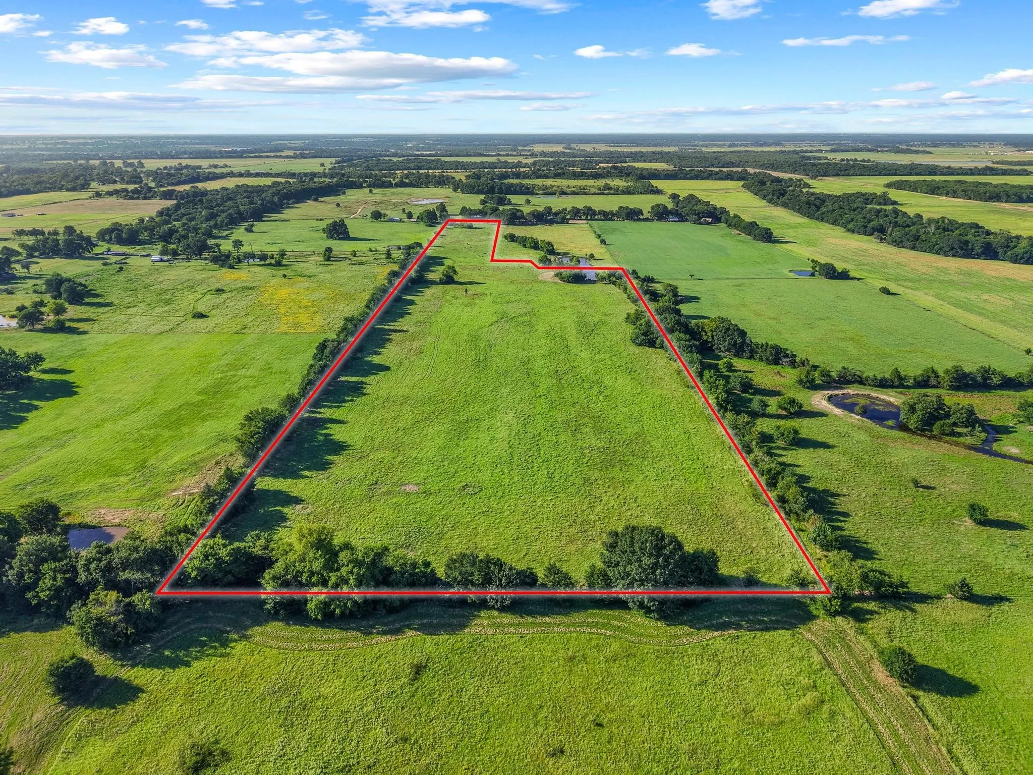 For Sale in Fannin County , 000 County Road 2131, Telephone, Texas 75488, 0, 0, Garage spaces, 0 Sqft, built in 0, Price $379,500, mls#21364685, Real Estate Agent in Telephone, Homes For Sale in Fannin county, Homes For Sale in Telephone, Realtor in Telephone Texas, Real Estate Brokerage Independent Realty Texas, Luminita Cordes Realtor