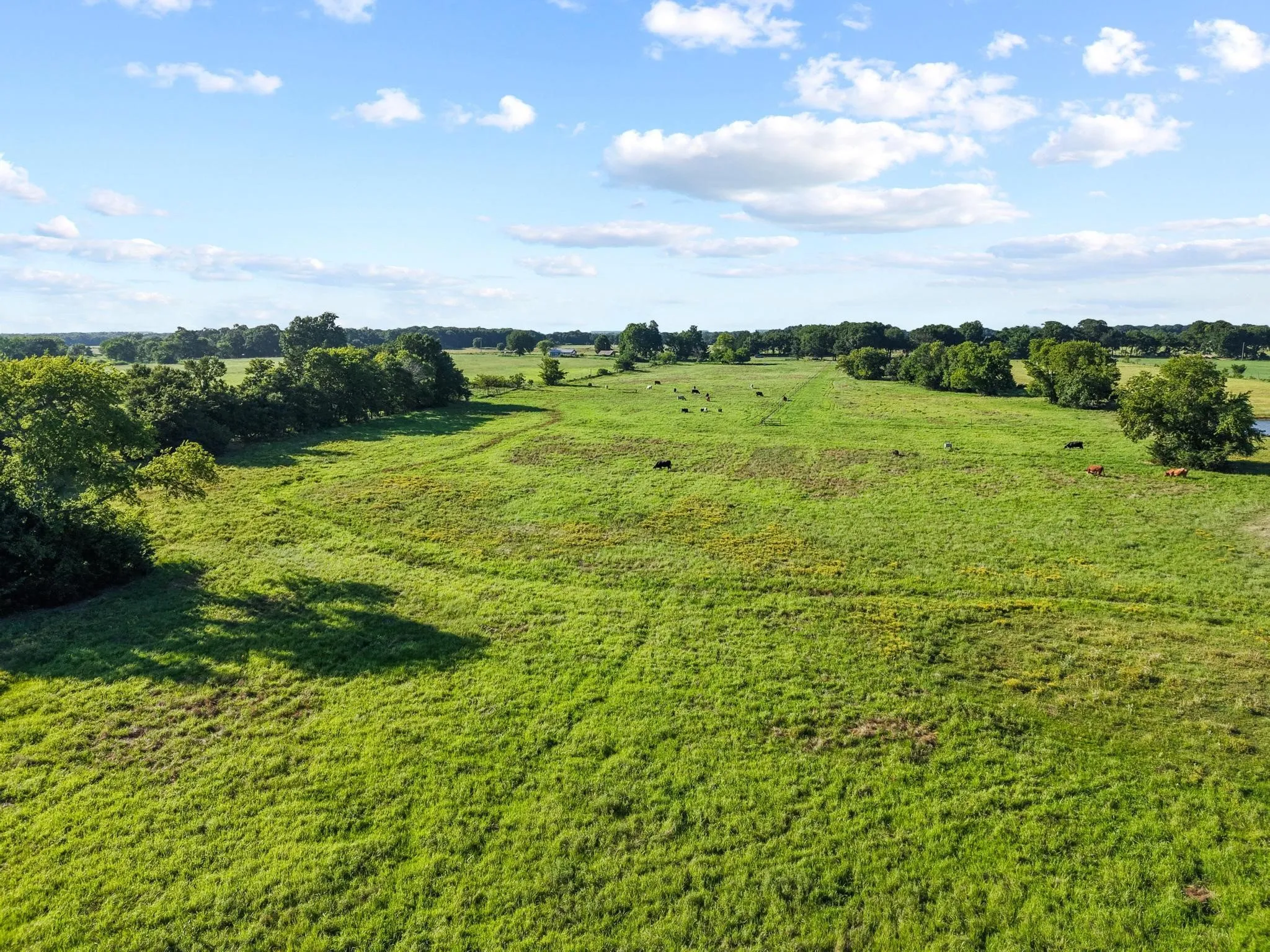 For Sale in Fannin County , 000 County Road 2131, Telephone, Texas 75488, 0, 0, Garage spaces, 0 Sqft, built in 0, Price $379,500, mls#21364685, Real Estate Agent in Telephone, Homes For Sale in Fannin county, Homes For Sale in Telephone, Realtor in Telephone Texas, Real Estate Brokerage Independent Realty Texas, Luminita Cordes Realtor