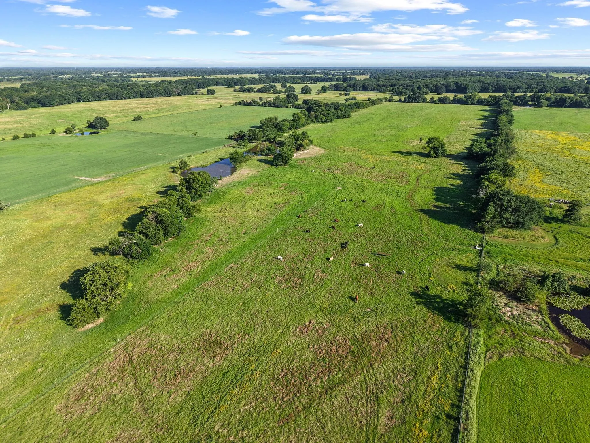 For Sale in Fannin County , 000 County Road 2131, Telephone, Texas 75488, 0, 0, Garage spaces, 0 Sqft, built in 0, Price $379,500, mls#21364685, Real Estate Agent in Telephone, Homes For Sale in Fannin county, Homes For Sale in Telephone, Realtor in Telephone Texas, Real Estate Brokerage Independent Realty Texas, Luminita Cordes Realtor