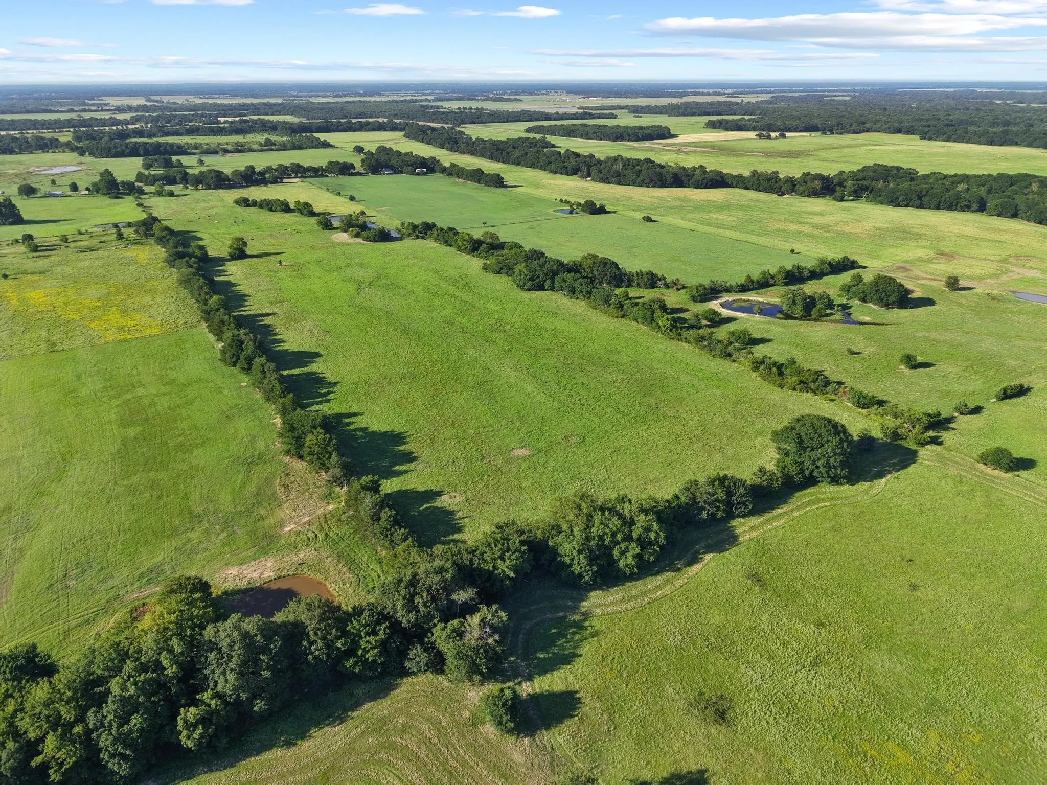 For Sale in Fannin County , 000 County Road 2131, Telephone, Texas 75488, 0, 0, Garage spaces, 0 Sqft, built in 0, Price $379,500, mls#21364685, Real Estate Agent in Telephone, Homes For Sale in Fannin county, Homes For Sale in Telephone, Realtor in Telephone Texas, Real Estate Brokerage Independent Realty Texas, Luminita Cordes Realtor