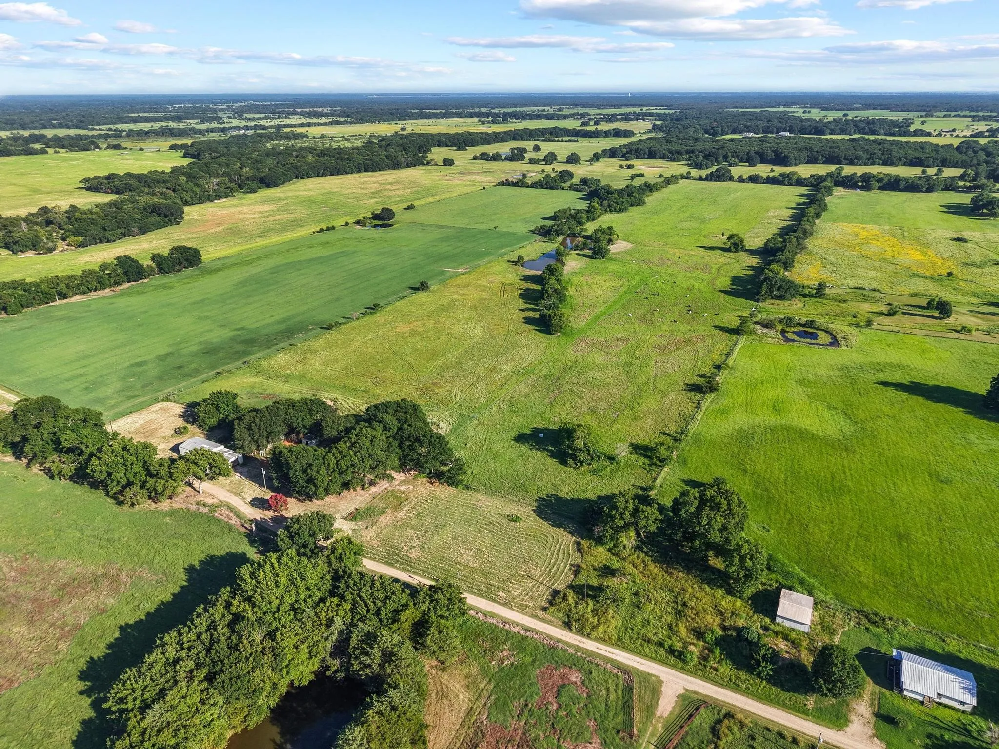 For Sale in Fannin County , 000 County Road 2131, Telephone, Texas 75488, 0, 0, Garage spaces, 0 Sqft, built in 0, Price $379,500, mls#21364685, Real Estate Agent in Telephone, Homes For Sale in Fannin county, Homes For Sale in Telephone, Realtor in Telephone Texas, Real Estate Brokerage Independent Realty Texas, Luminita Cordes Realtor