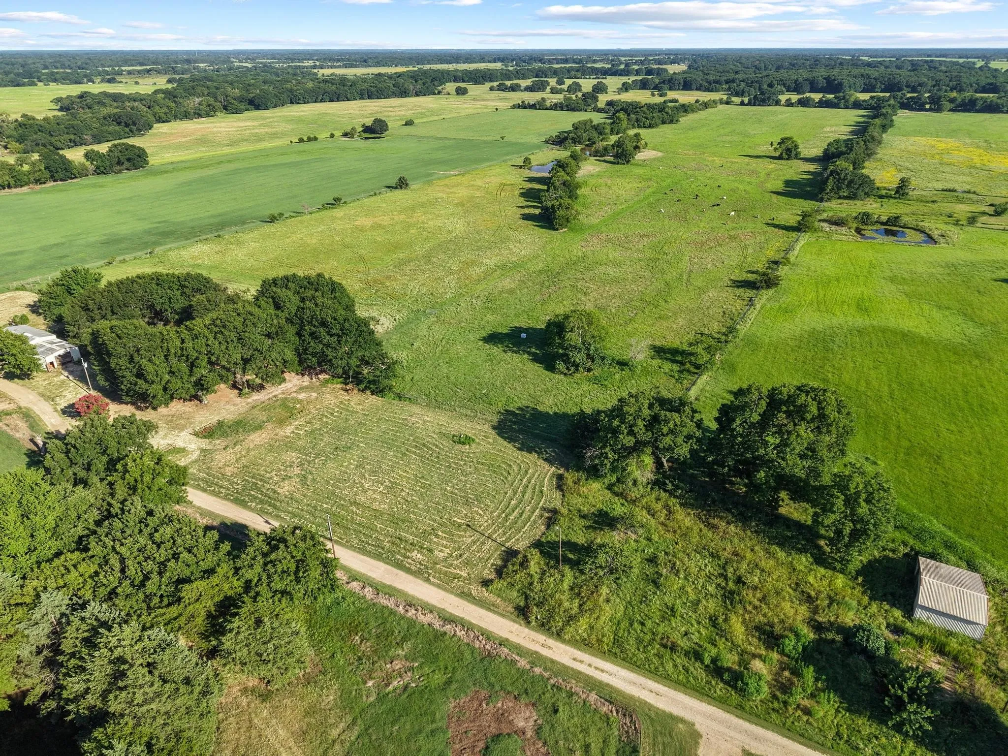 For Sale in Fannin County , 000 County Road 2131, Telephone, Texas 75488, 0, 0, Garage spaces, 0 Sqft, built in 0, Price $379,500, mls#21364685, Real Estate Agent in Telephone, Homes For Sale in Fannin county, Homes For Sale in Telephone, Realtor in Telephone Texas, Real Estate Brokerage Independent Realty Texas, Luminita Cordes Realtor