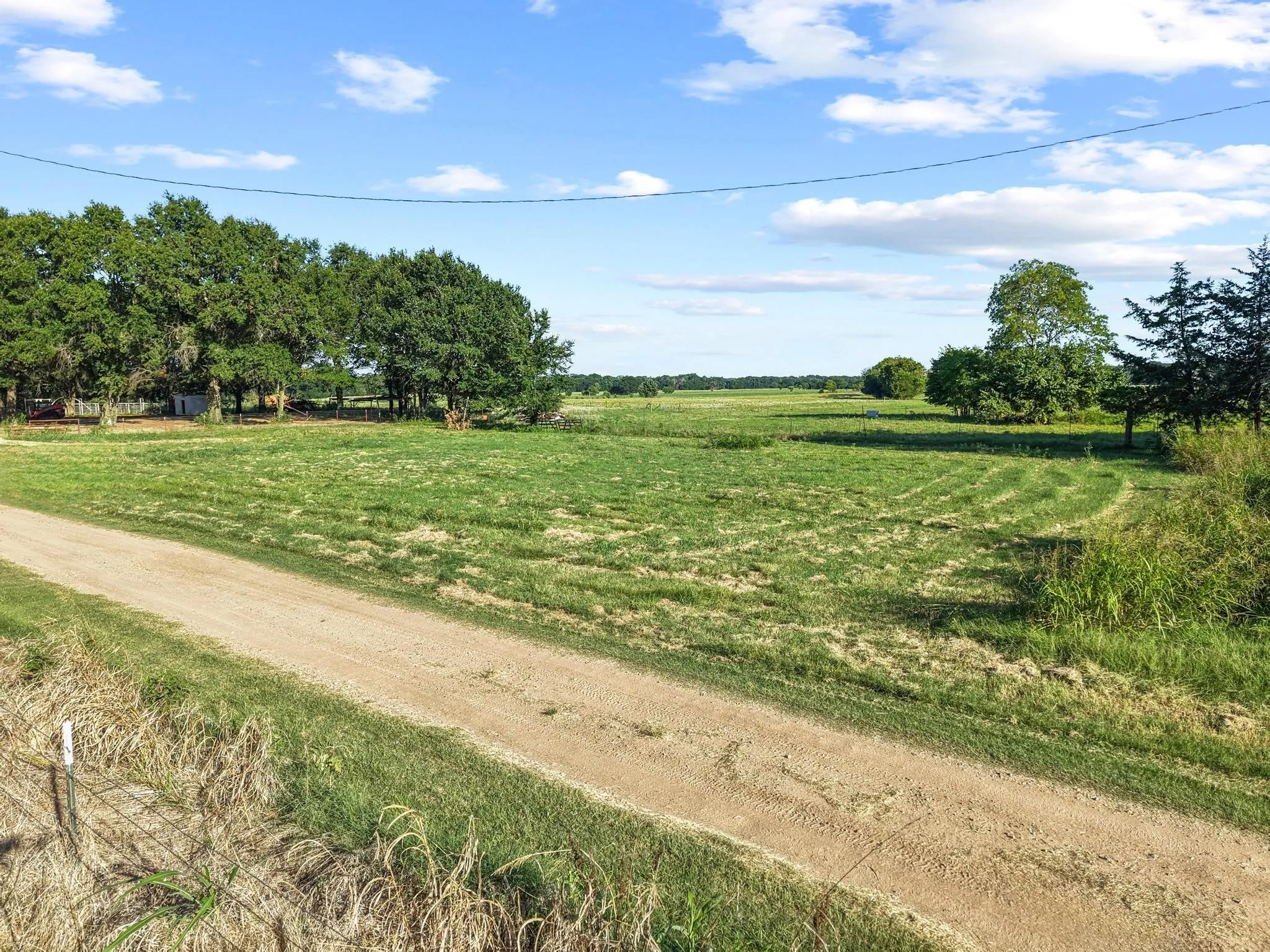 For Sale in Fannin County , 000 County Road 2131, Telephone, Texas 75488, 0, 0, Garage spaces, 0 Sqft, built in 0, Price $379,500, mls#21364685, Real Estate Agent in Telephone, Homes For Sale in Fannin county, Homes For Sale in Telephone, Realtor in Telephone Texas, Real Estate Brokerage Independent Realty Texas, Luminita Cordes Realtor