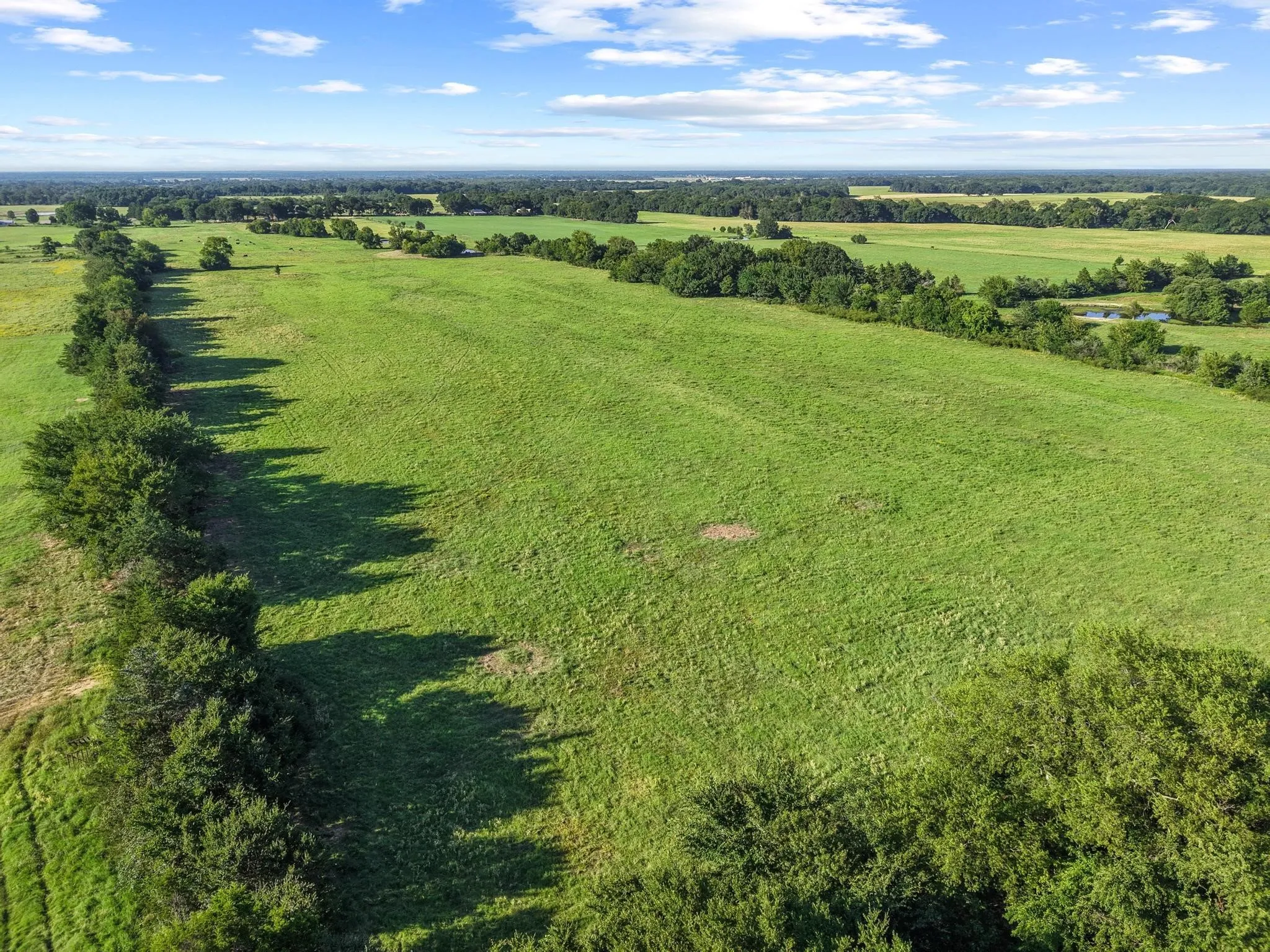 For Sale in Fannin County , 000 County Road 2131, Telephone, Texas 75488, 0, 0, Garage spaces, 0 Sqft, built in 0, Price $379,500, mls#21364685, Real Estate Agent in Telephone, Homes For Sale in Fannin county, Homes For Sale in Telephone, Realtor in Telephone Texas, Real Estate Brokerage Independent Realty Texas, Luminita Cordes Realtor