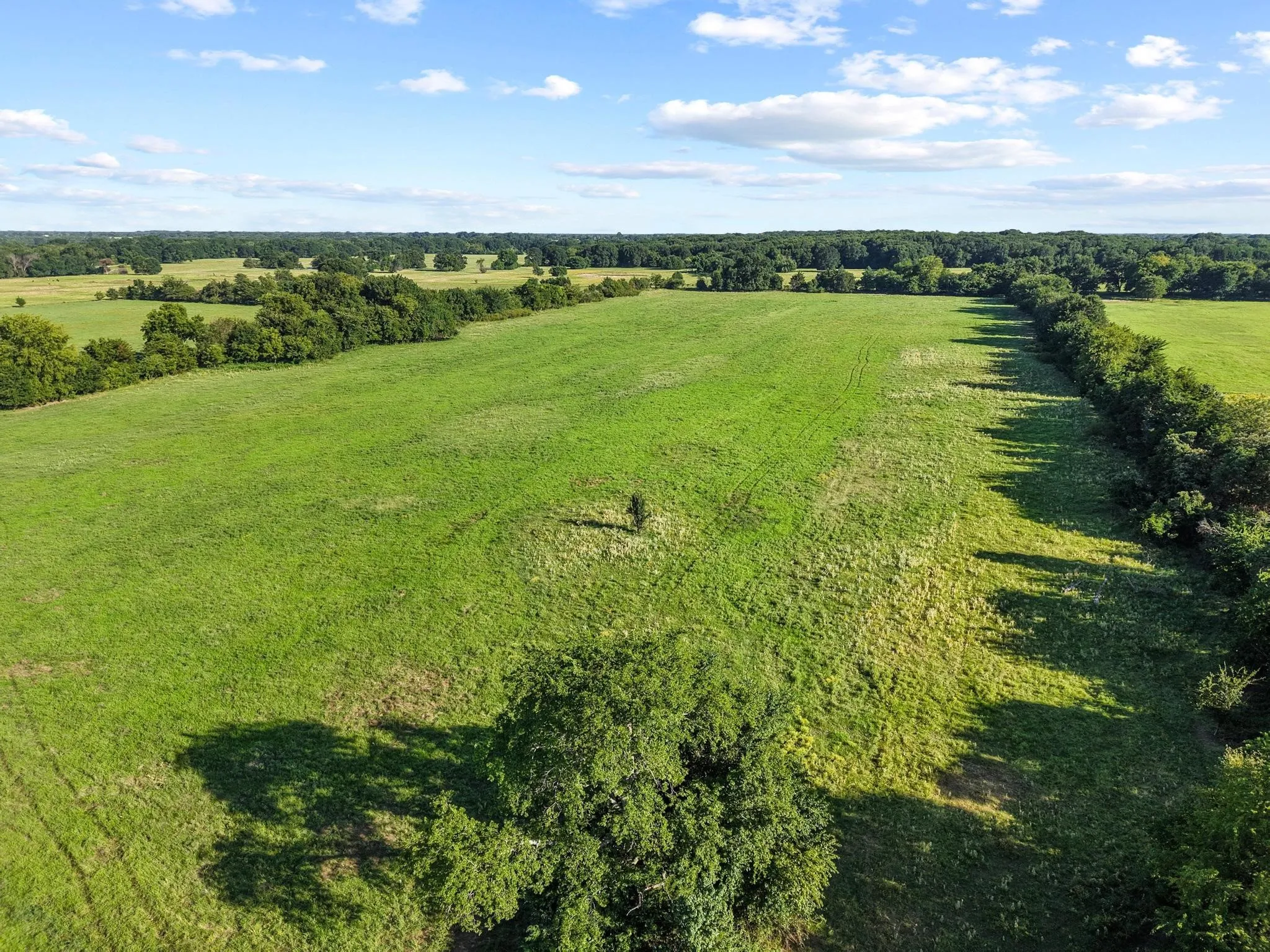 For Sale in Fannin County , 000 County Road 2131, Telephone, Texas 75488, 0, 0, Garage spaces, 0 Sqft, built in 0, Price $379,500, mls#21364685, Real Estate Agent in Telephone, Homes For Sale in Fannin county, Homes For Sale in Telephone, Realtor in Telephone Texas, Real Estate Brokerage Independent Realty Texas, Luminita Cordes Realtor