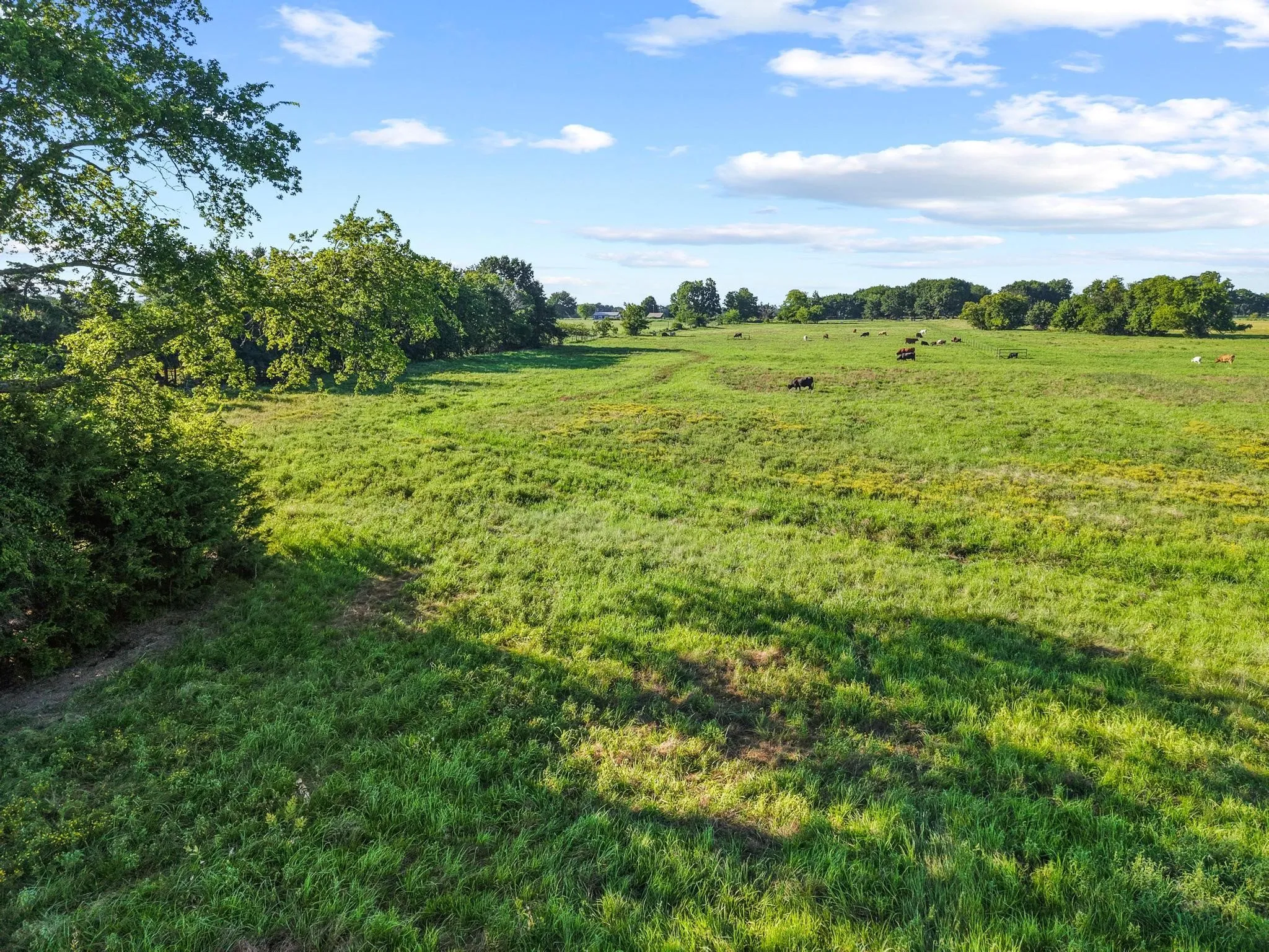 For Sale in Fannin County , 000 County Road 2131, Telephone, Texas 75488, 0, 0, Garage spaces, 0 Sqft, built in 0, Price $379,500, mls#21364685, Real Estate Agent in Telephone, Homes For Sale in Fannin county, Homes For Sale in Telephone, Realtor in Telephone Texas, Real Estate Brokerage Independent Realty Texas, Luminita Cordes Realtor