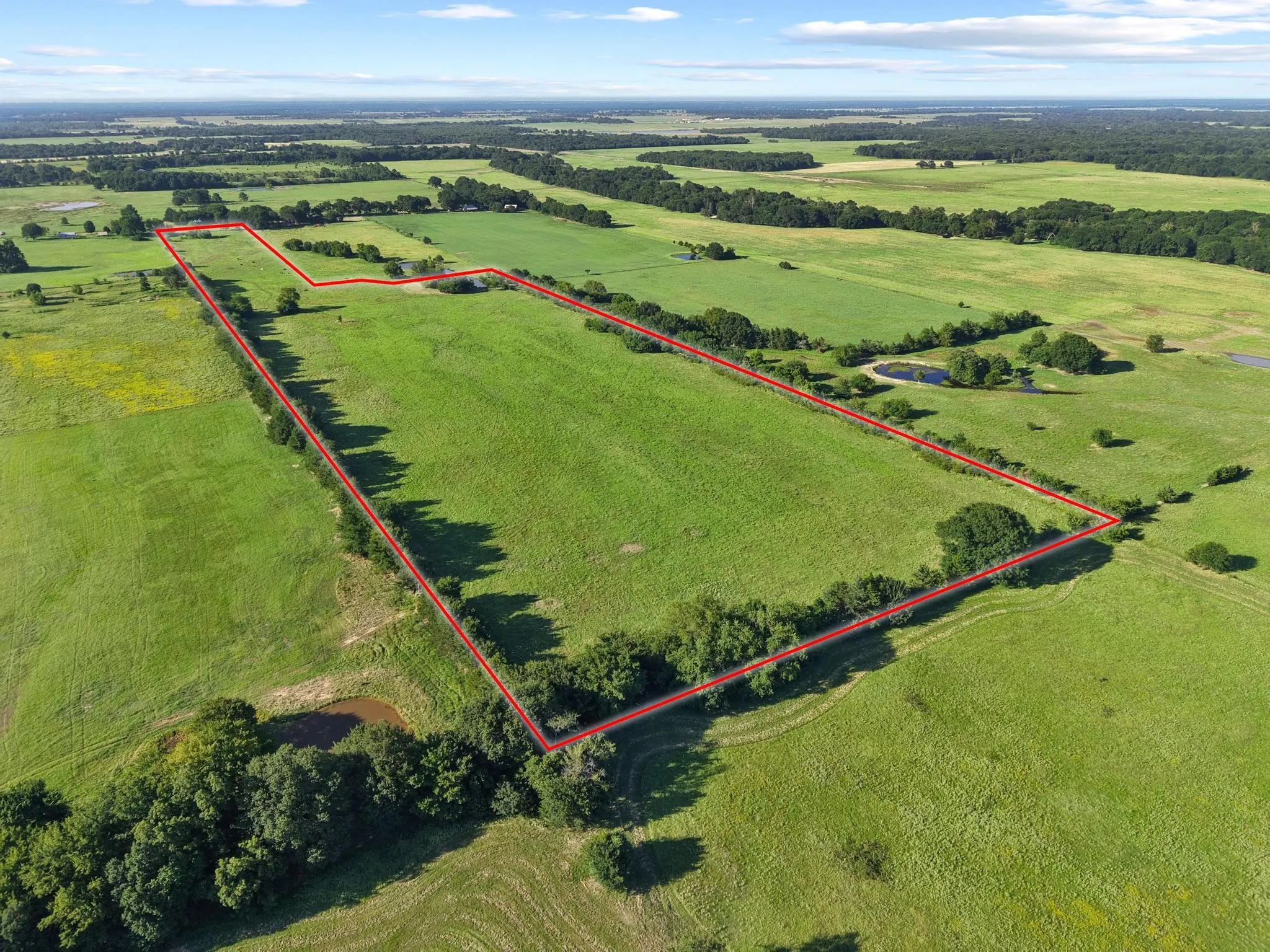 For Sale in Fannin County , 000 County Road 2131, Telephone, Texas 75488, 0, 0, Garage spaces, 0 Sqft, built in 0, Price $379,500, mls#21364685, Real Estate Agent in Telephone, Homes For Sale in Fannin county, Homes For Sale in Telephone, Realtor in Telephone Texas, Real Estate Brokerage Independent Realty Texas, Luminita Cordes Realtor