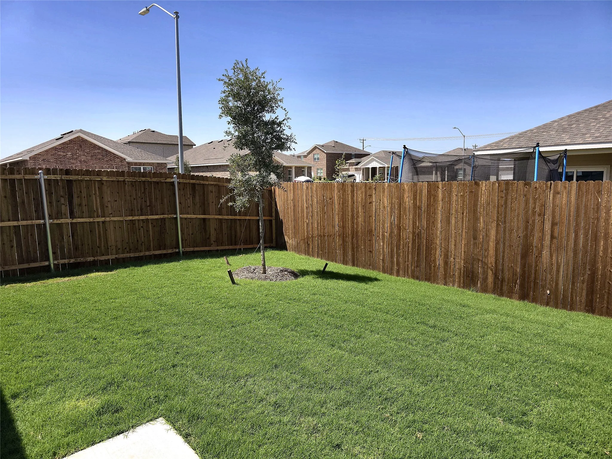 Expansive grass lawn with a mature tree and wood privacy fencing