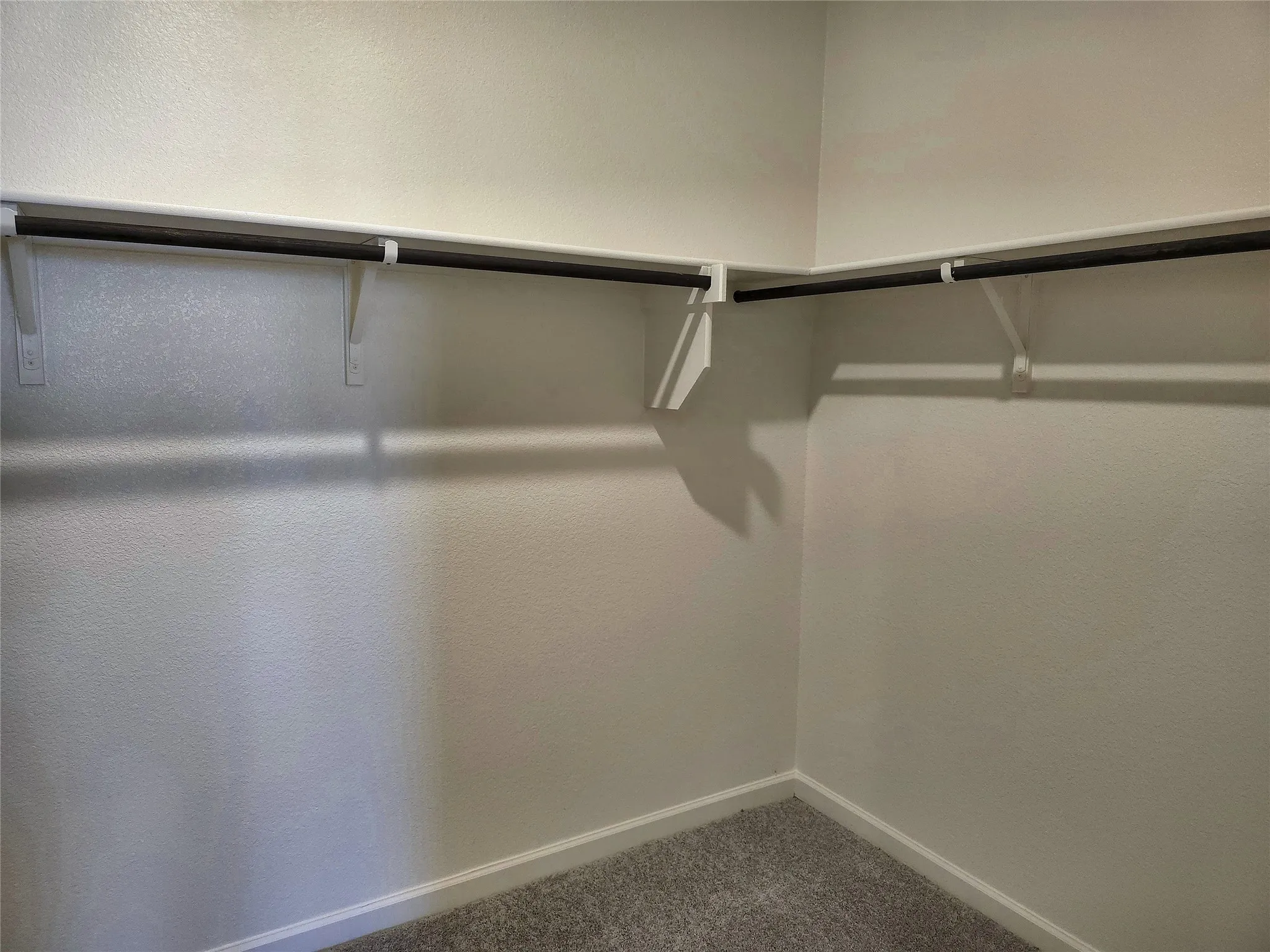 Walk-in closet featuring built-in shelving, two hanging rods, and carpet flooring