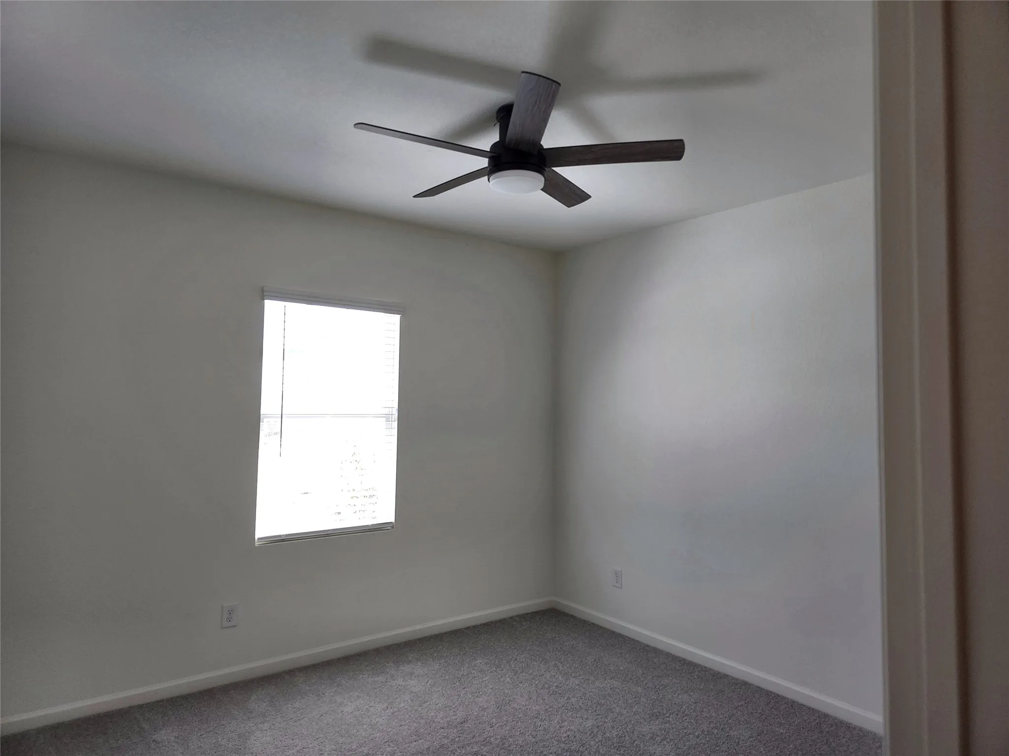 White walls with textured carpet flooring
