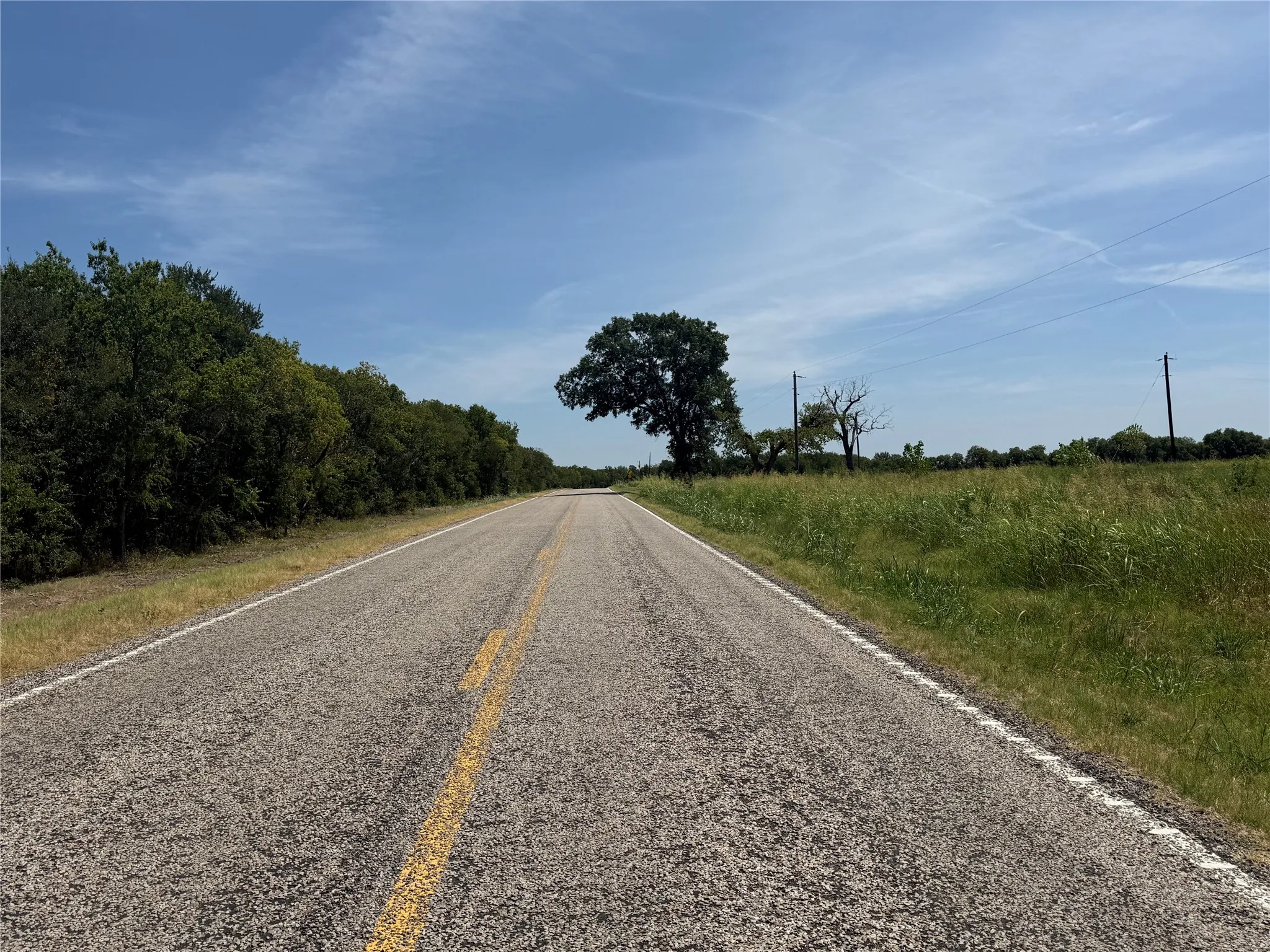 Looking East FM 272