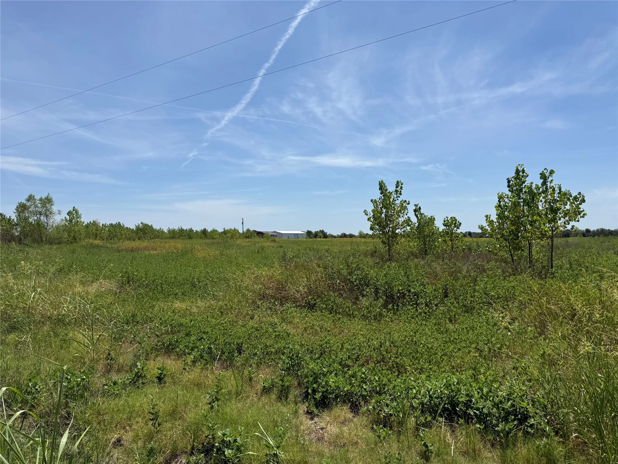 Unimproved Land For Sale in Fannin County , 3828 FM 272, Leonard, Texas 75423, 0, 0, Garage spaces, 0 Sqft, built in 0, mls#21364620, Real Estate Agent in Leonard, Homes For Sale in Fannin county, Homes For Sale in Leonard, Realtor in Leonard Texas, Real Estate Brokerage Independent Realty Texas, Luminita Cordes Realtor