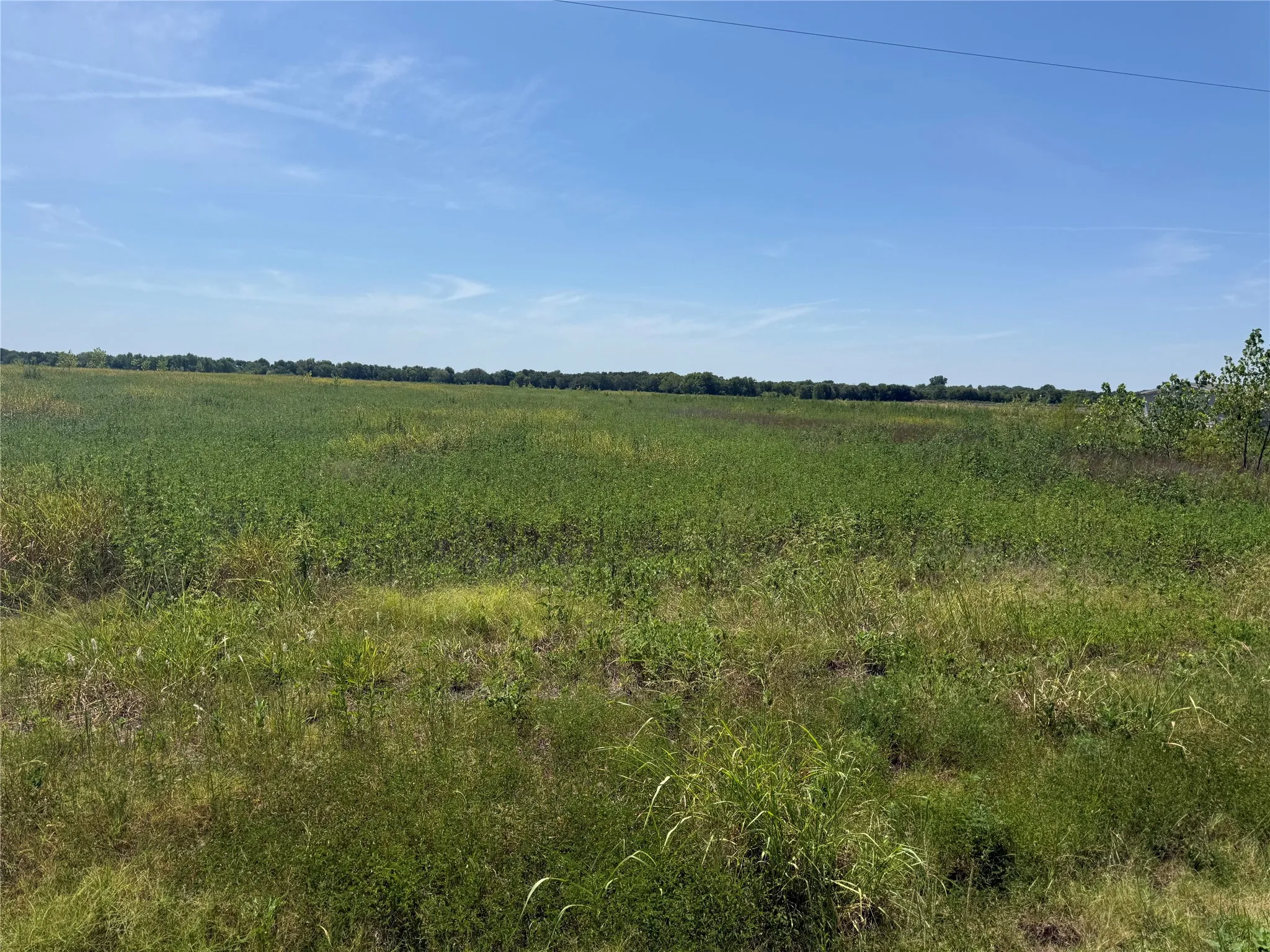 Unimproved Land For Sale in Fannin County , 3828 FM 272, Leonard, Texas 75423, 0, 0, Garage spaces, 0 Sqft, built in 0, mls#21364620, Real Estate Agent in Leonard, Homes For Sale in Fannin county, Homes For Sale in Leonard, Realtor in Leonard Texas, Real Estate Brokerage Independent Realty Texas, Luminita Cordes Realtor