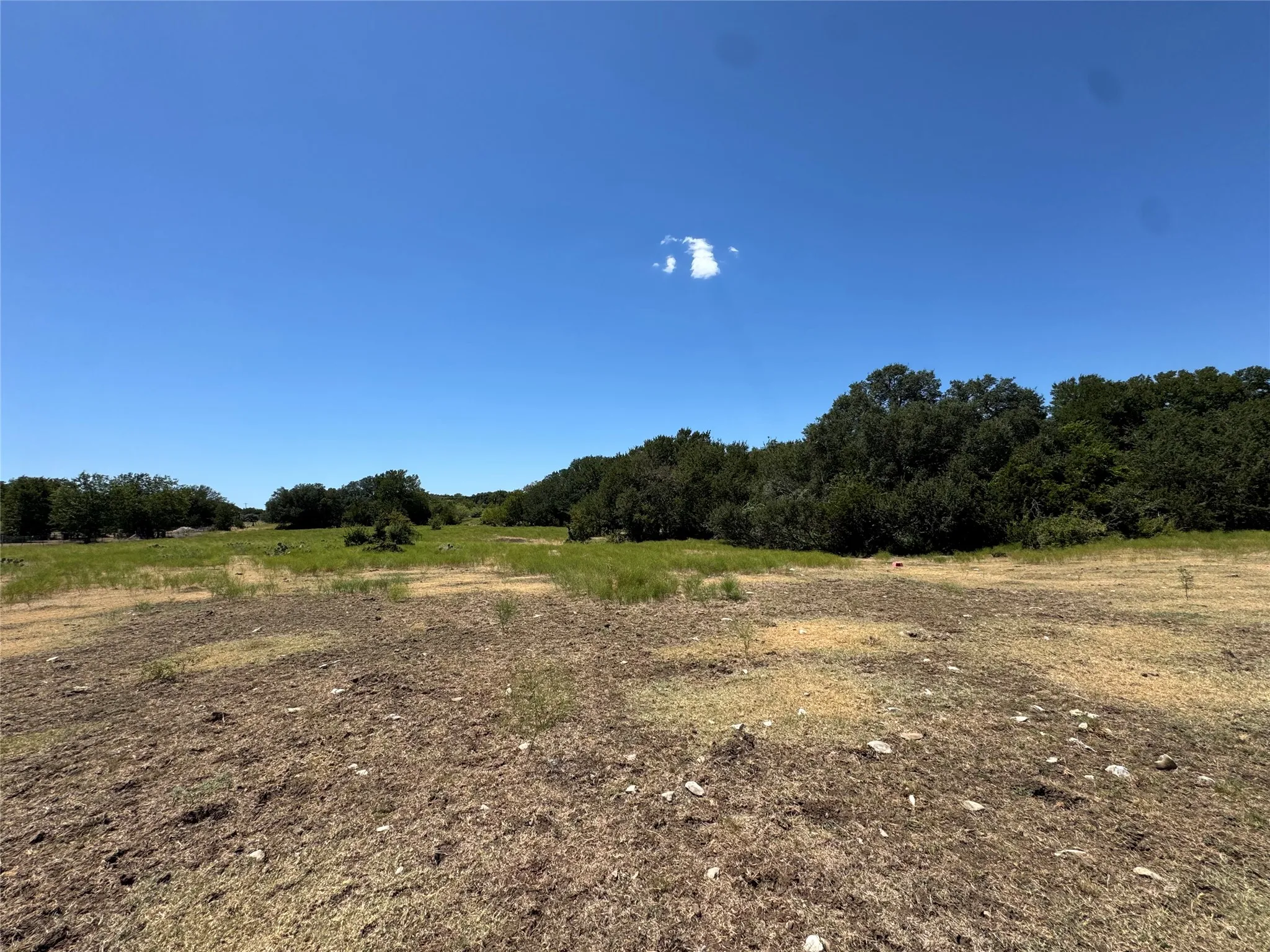 Unimproved Land For Sale in Bosque County , 260 County Road 1780, Clifton, Texas 76634, 0, 0, Garage spaces, 0 Sqft, built in 0, Price $275,000, mls#21364705, Real Estate Agent in Clifton, Homes For Sale in Bosque county, Homes For Sale in Clifton, Realtor in Clifton Texas, Real Estate Brokerage Independent Realty Texas, Luminita Cordes Realtor