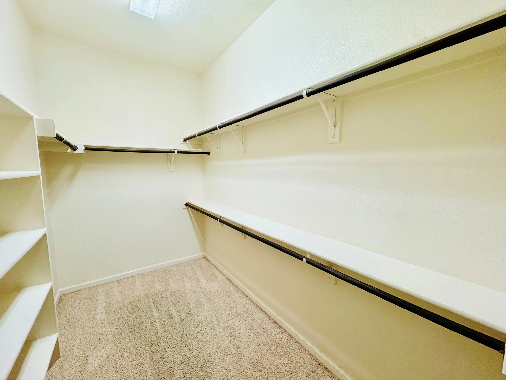 Built-in shelving, multiple hanging rods, and neutral carpeting