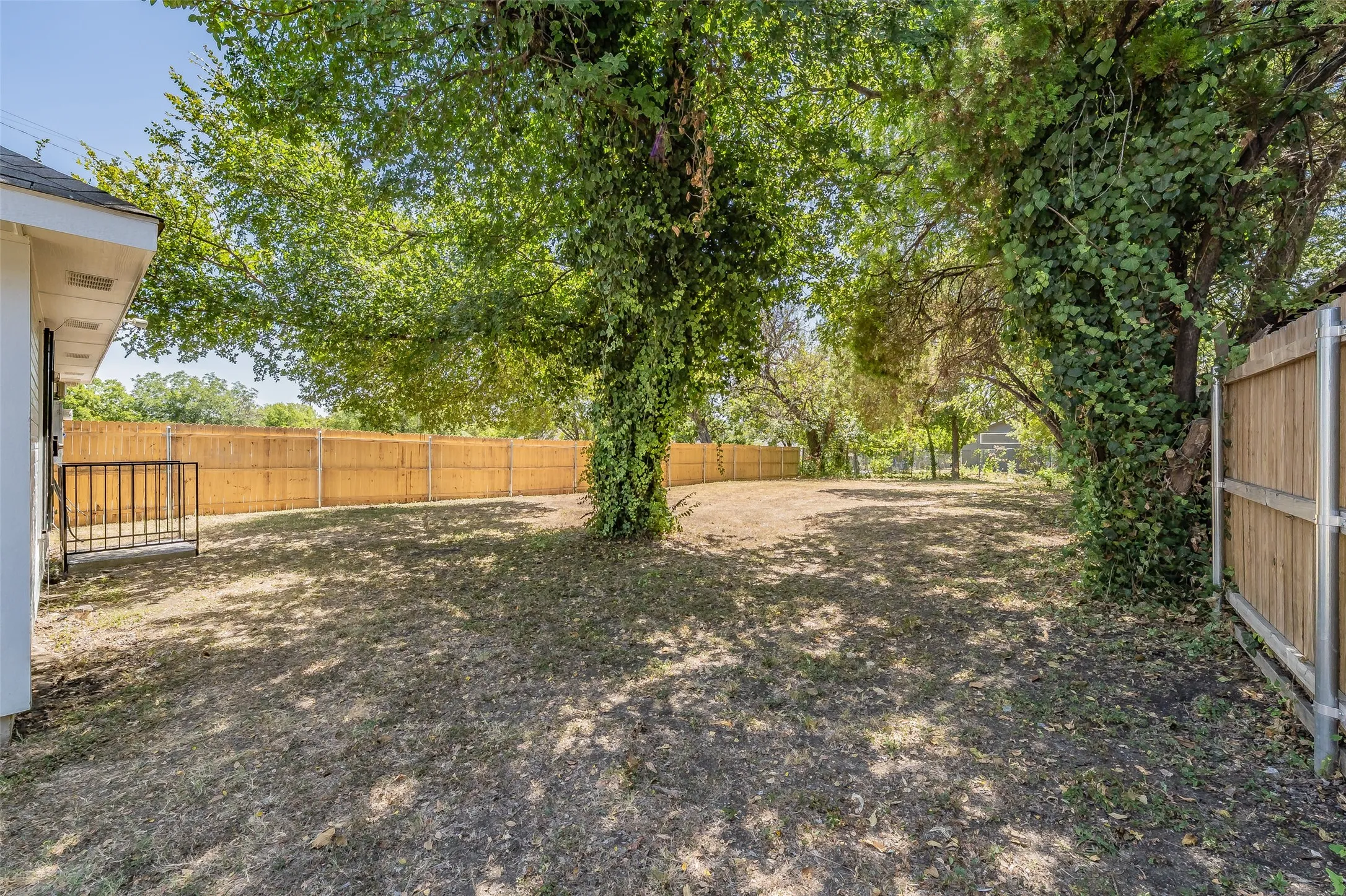 Expansive backyard with a full privacy fence, mature trees, and natural ground cover