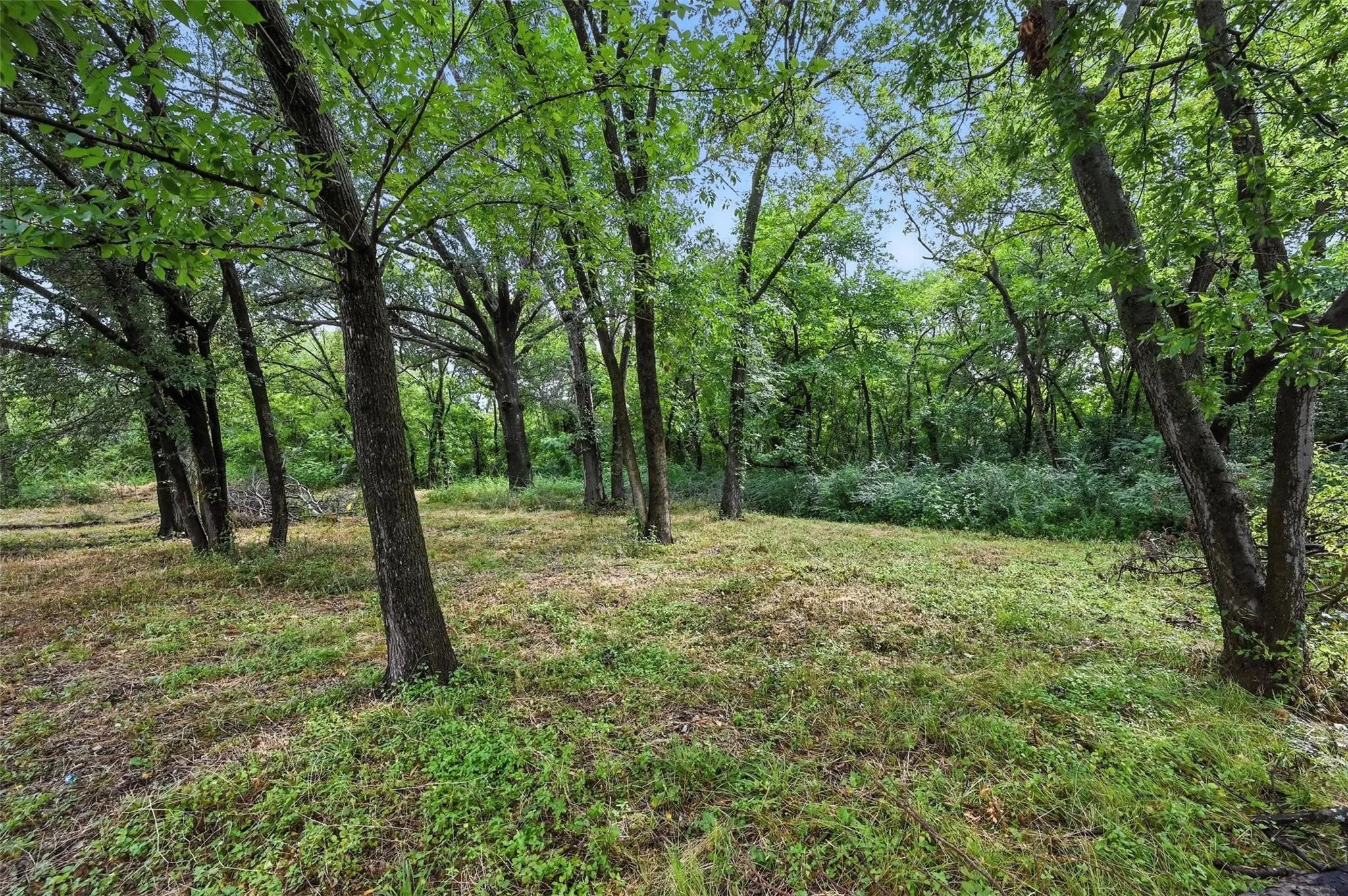 Unimproved Land For Sale in Navarro County , TBD Walton, Corsicana, Texas 75110, 0, 0, Garage spaces, 0 Sqft, built in 0, Price $70,000, mls#21350278, Real Estate Agent in Corsicana, Homes For Sale in Navarro county, Homes For Sale in Corsicana, Realtor in Corsicana Texas, Real Estate Brokerage Independent Realty Texas, Luminita Cordes Realtor