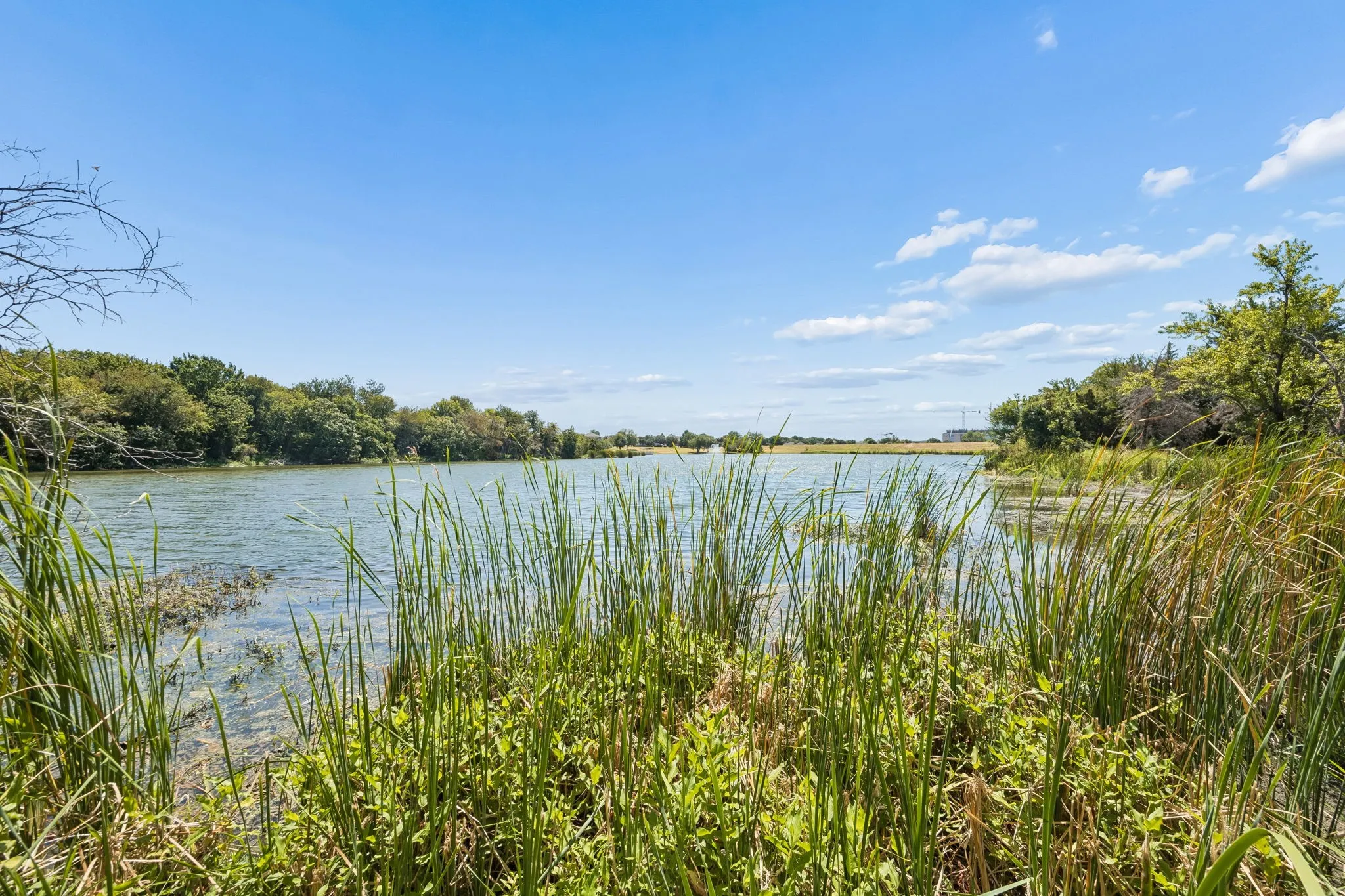 Community Pond & Natural Surroundings