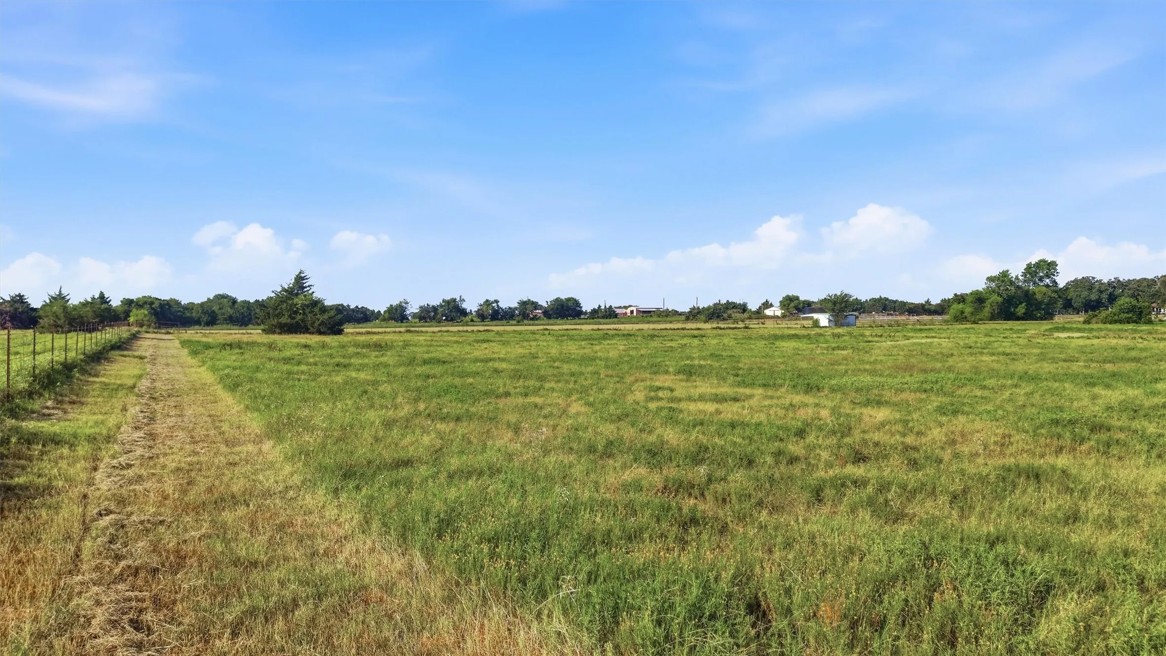 Open pasture
