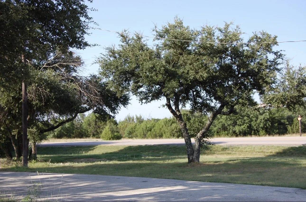 Industrial For Sale in Parker County , 2950 Fm 920, Weatherford, Texas 76088, 0, 0, Garage spaces, 0 Sqft, built in 2008, mls#21364810, Real Estate Agent in Weatherford, Homes For Sale in Parker county, Homes For Sale in Weatherford, Realtor in Weatherford Texas, Real Estate Brokerage Independent Realty Texas, Luminita Cordes Realtor