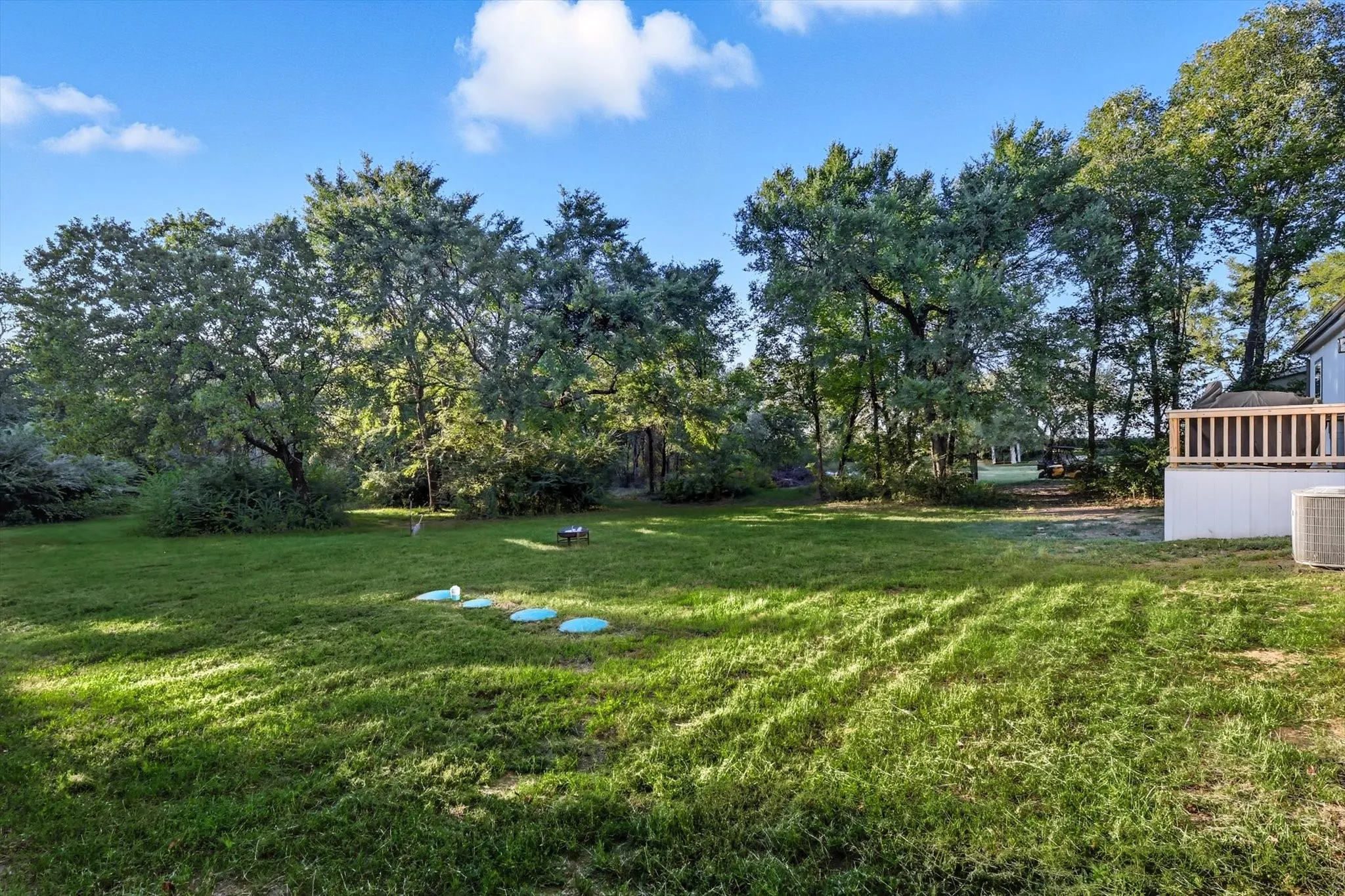 View of grassy yard