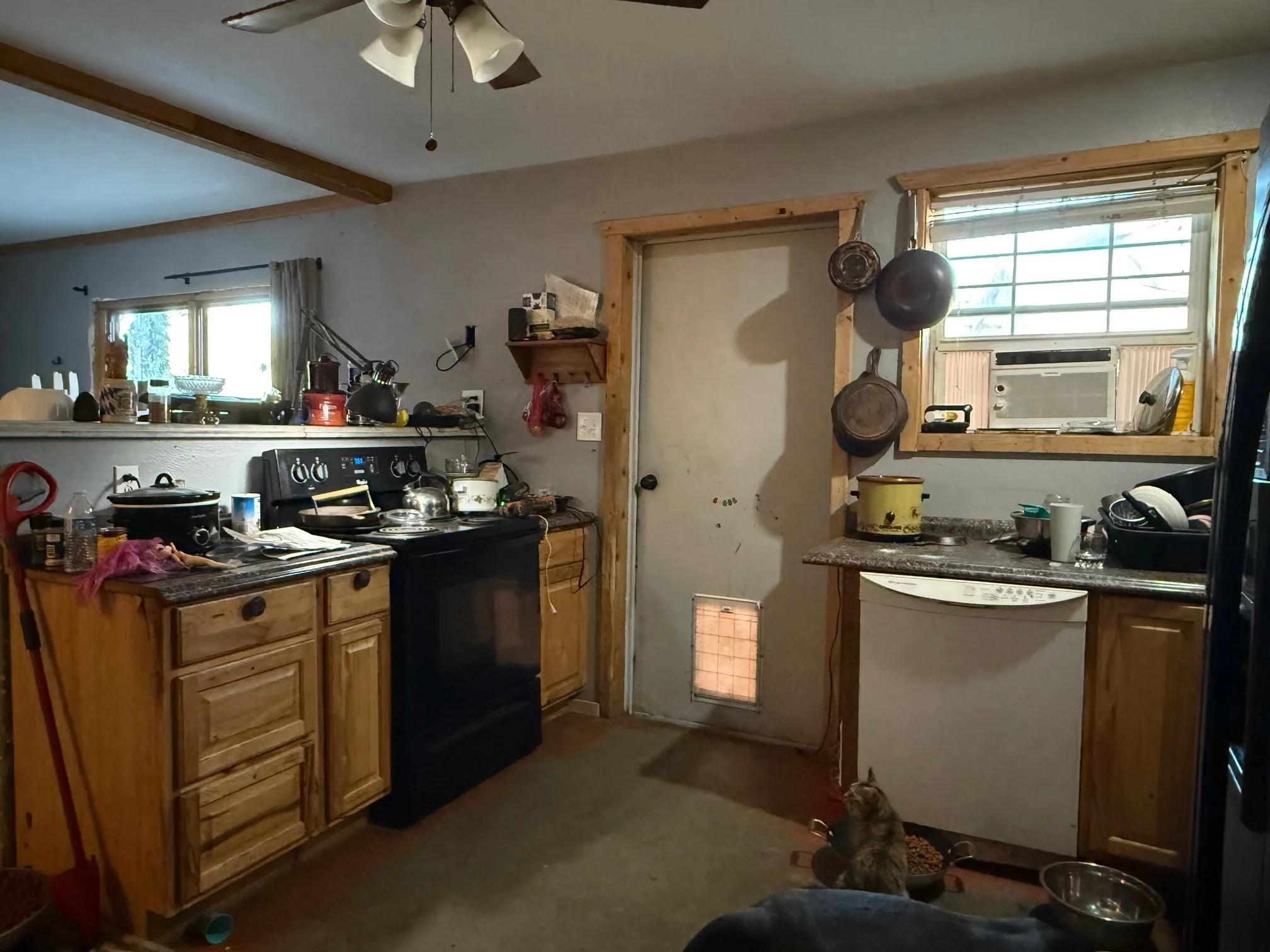 Functional kitchen space featuring a black electric range and white dishwasher