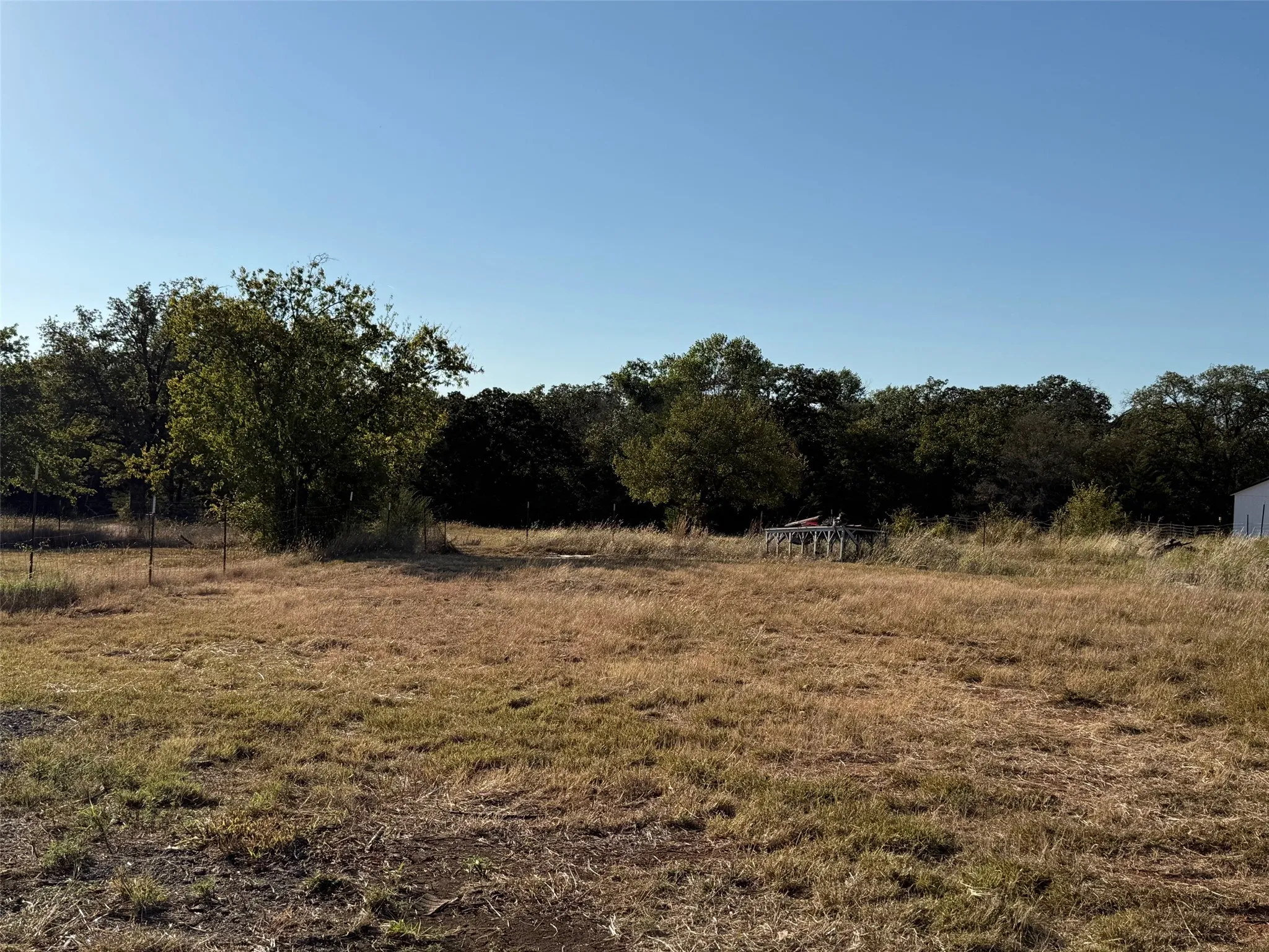 Expansive undeveloped land featuring mature trees bordering the property
