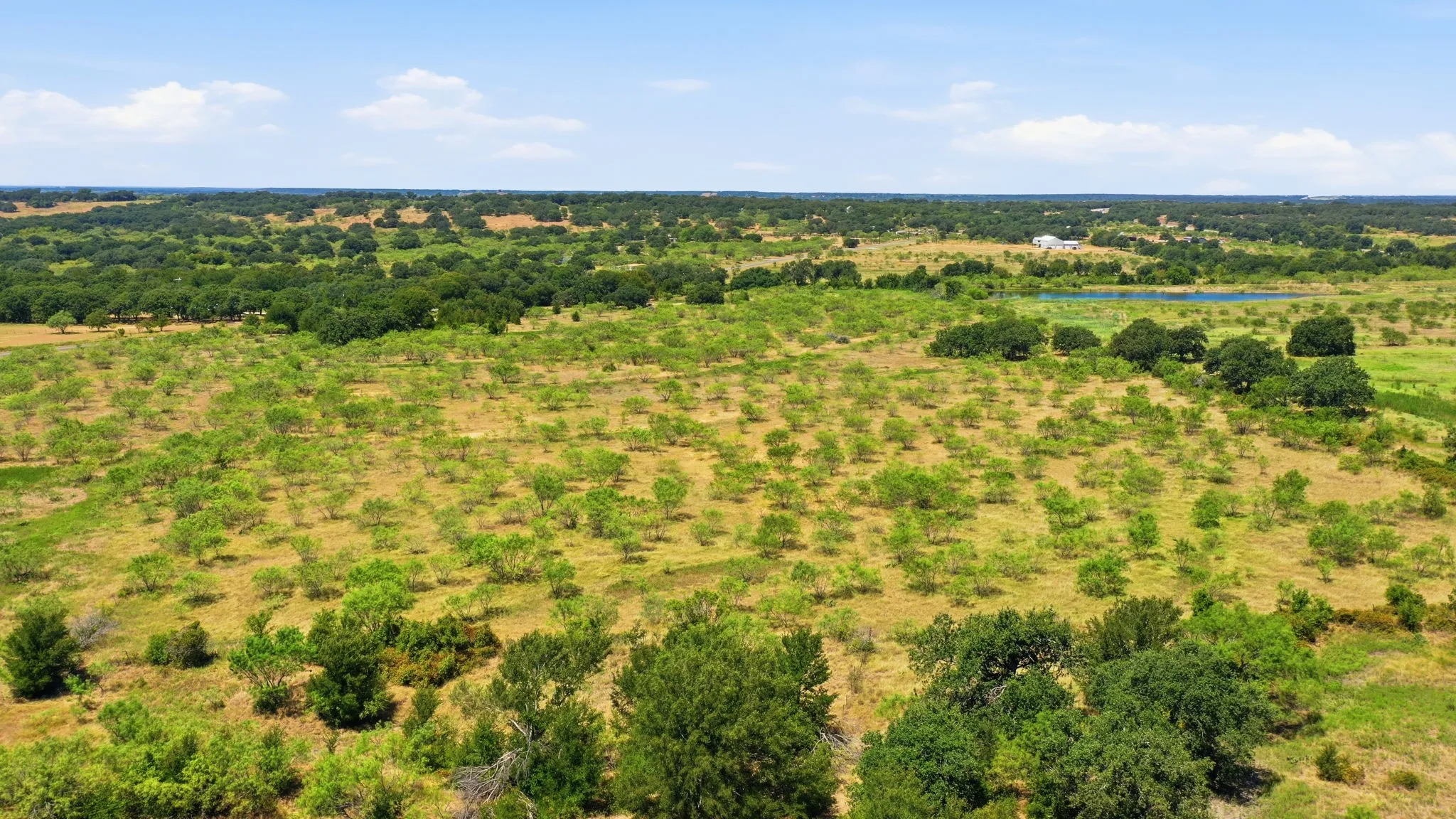 Unimproved Land For Sale in Eastland County , 260 CR 366 Tract 8, Gorman, Texas 76454, 0, 0, Garage spaces, 0 Sqft, built in 0, mls#21364847, Real Estate Agent in Gorman, Homes For Sale in Eastland county, Homes For Sale in Gorman, Realtor in Gorman Texas, Real Estate Brokerage Independent Realty Texas, Luminita Cordes Realtor