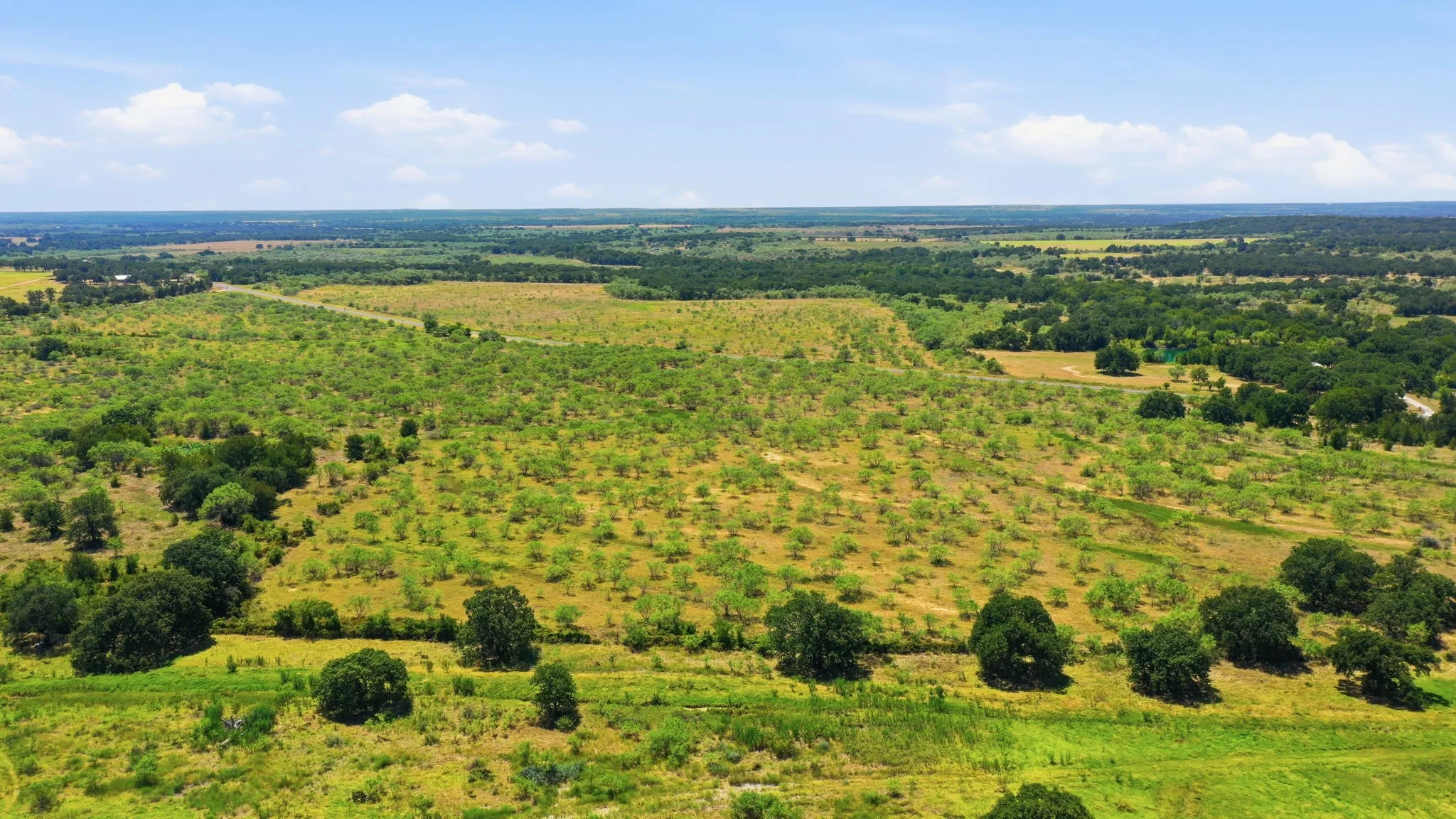 Unimproved Land For Sale in Eastland County , 260 CR 366 Tract 8, Gorman, Texas 76454, 0, 0, Garage spaces, 0 Sqft, built in 0, mls#21364847, Real Estate Agent in Gorman, Homes For Sale in Eastland county, Homes For Sale in Gorman, Realtor in Gorman Texas, Real Estate Brokerage Independent Realty Texas, Luminita Cordes Realtor