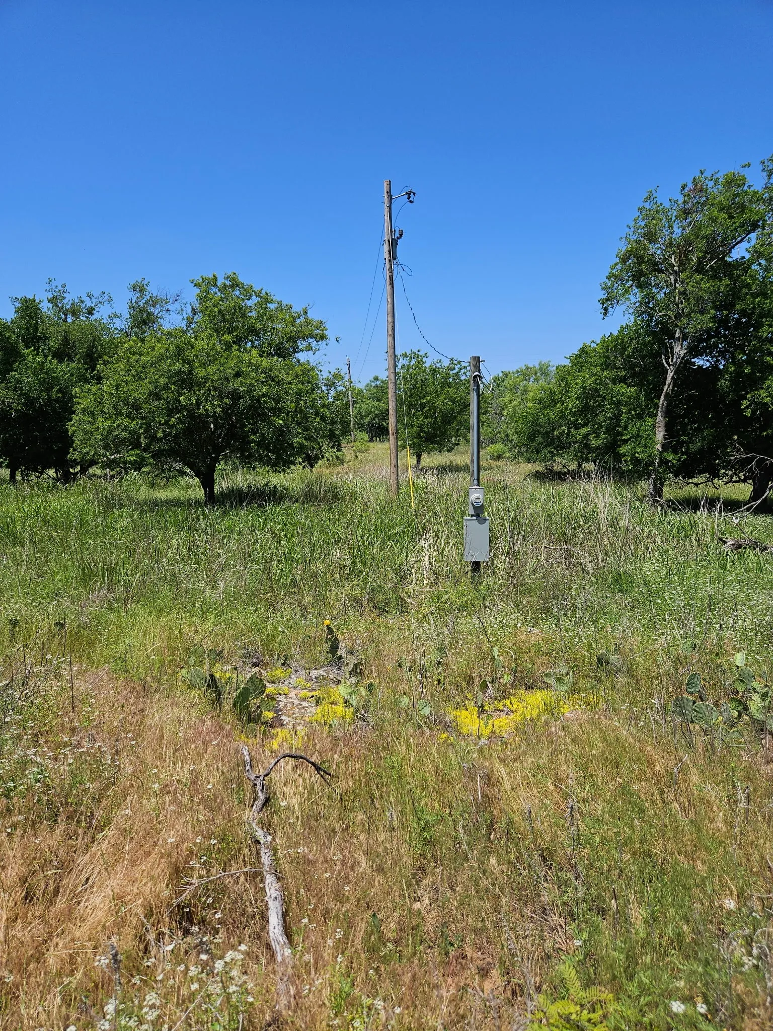 Unimproved Land For Sale in Eastland County , 404 HIGHWAY 6, Cisco, Texas 76437, 0, 0, Garage spaces, 0 Sqft, built in 0, Price $239,000, mls#21363922, Real Estate Agent in Cisco, Homes For Sale in Eastland county, Homes For Sale in Cisco, Realtor in Cisco Texas, Real Estate Brokerage Independent Realty Texas, Luminita Cordes Realtor