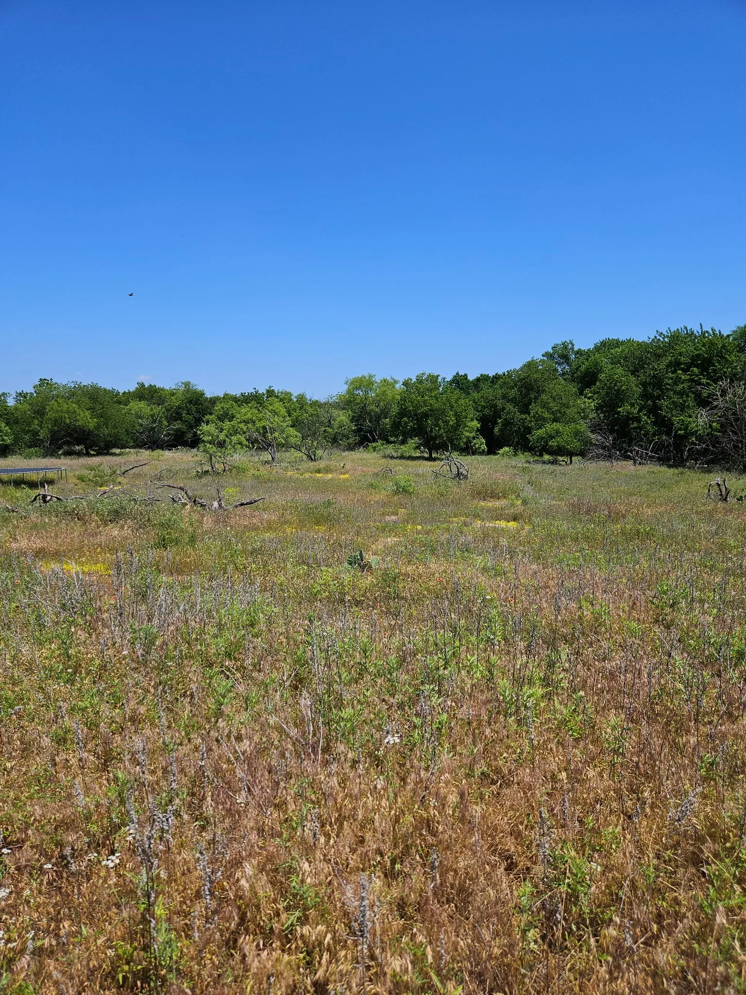 Unimproved Land For Sale in Eastland County , 404 HIGHWAY 6, Cisco, Texas 76437, 0, 0, Garage spaces, 0 Sqft, built in 0, Price $239,000, mls#21363922, Real Estate Agent in Cisco, Homes For Sale in Eastland county, Homes For Sale in Cisco, Realtor in Cisco Texas, Real Estate Brokerage Independent Realty Texas, Luminita Cordes Realtor