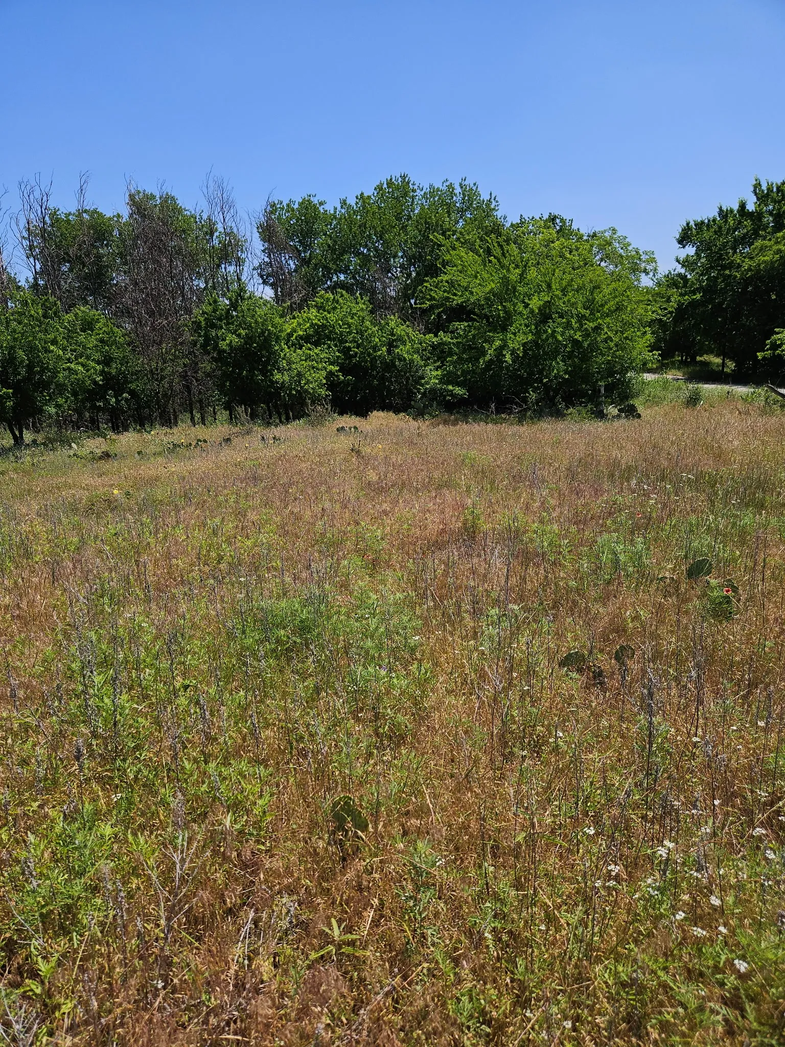 Unimproved Land For Sale in Eastland County , 404 HIGHWAY 6, Cisco, Texas 76437, 0, 0, Garage spaces, 0 Sqft, built in 0, Price $239,000, mls#21363922, Real Estate Agent in Cisco, Homes For Sale in Eastland county, Homes For Sale in Cisco, Realtor in Cisco Texas, Real Estate Brokerage Independent Realty Texas, Luminita Cordes Realtor