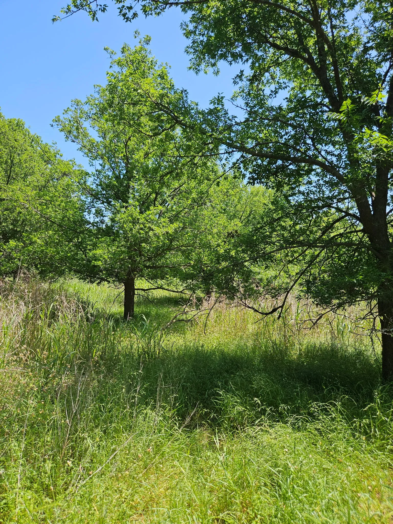 Unimproved Land For Sale in Eastland County , 404 HIGHWAY 6, Cisco, Texas 76437, 0, 0, Garage spaces, 0 Sqft, built in 0, Price $239,000, mls#21363922, Real Estate Agent in Cisco, Homes For Sale in Eastland county, Homes For Sale in Cisco, Realtor in Cisco Texas, Real Estate Brokerage Independent Realty Texas, Luminita Cordes Realtor