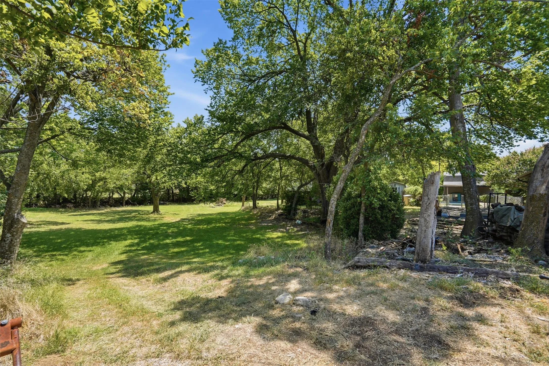 Expansive grassy clearing surrounded by mature trees