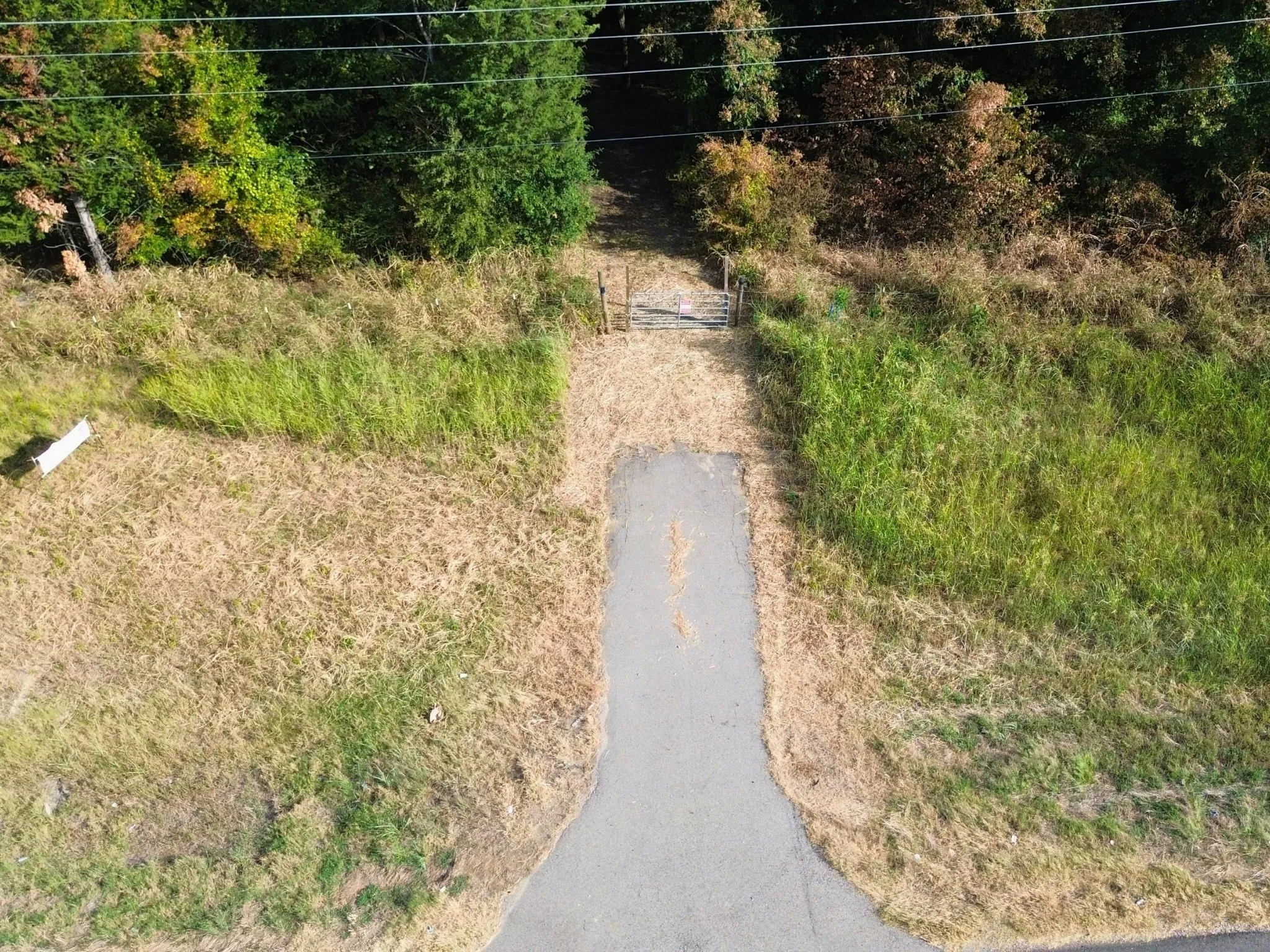 Unimproved Land For Sale in Delta County , 6869 Hwy 24, Klondike, Texas 75448, 0, 0, Garage spaces, 0 Sqft, built in 0, Price $145,000, mls#21364177, Real Estate Agent in Klondike, Homes For Sale in Delta county, Homes For Sale in Klondike, Realtor in Klondike Texas, Real Estate Brokerage Independent Realty Texas, Luminita Cordes Realtor