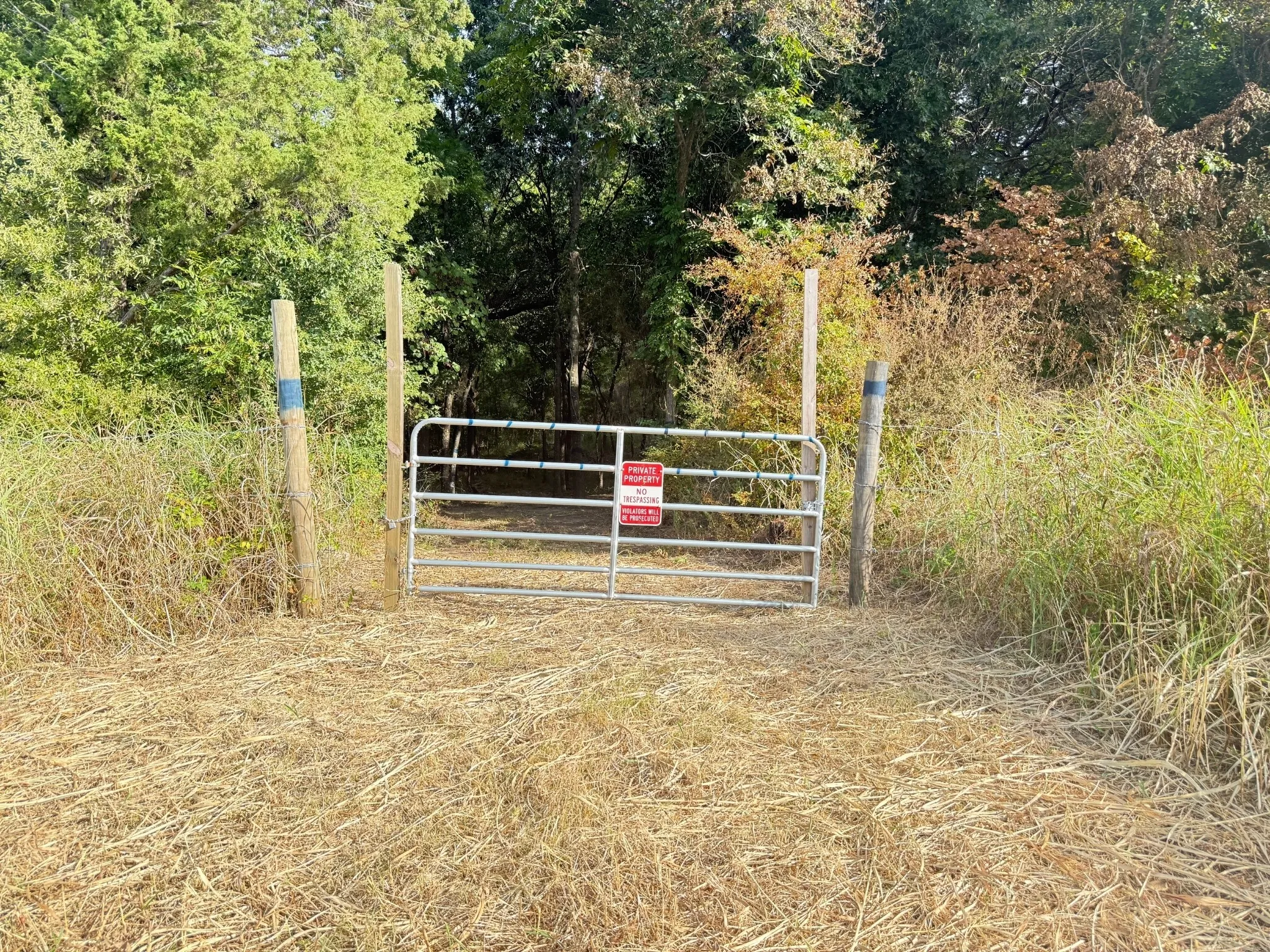 Unimproved Land For Sale in Delta County , 6869 Hwy 24, Klondike, Texas 75448, 0, 0, Garage spaces, 0 Sqft, built in 0, Price $145,000, mls#21364177, Real Estate Agent in Klondike, Homes For Sale in Delta county, Homes For Sale in Klondike, Realtor in Klondike Texas, Real Estate Brokerage Independent Realty Texas, Luminita Cordes Realtor