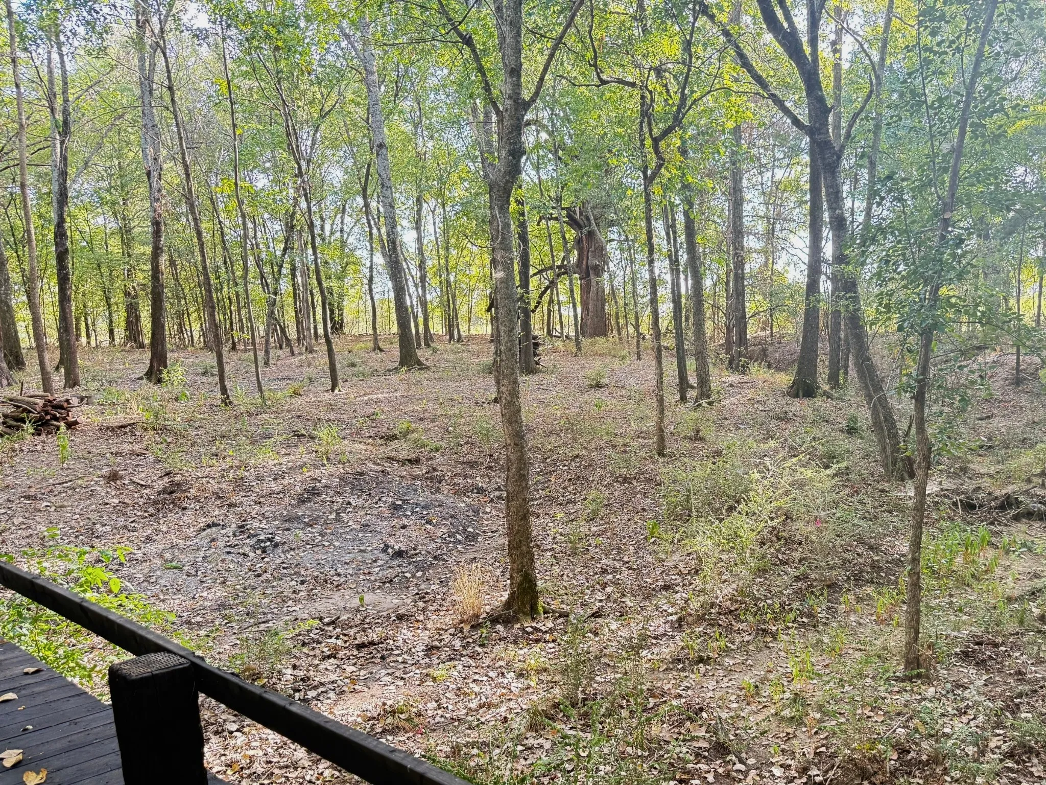Unimproved Land For Sale in Delta County , 6869 Hwy 24, Klondike, Texas 75448, 0, 0, Garage spaces, 0 Sqft, built in 0, Price $145,000, mls#21364177, Real Estate Agent in Klondike, Homes For Sale in Delta county, Homes For Sale in Klondike, Realtor in Klondike Texas, Real Estate Brokerage Independent Realty Texas, Luminita Cordes Realtor