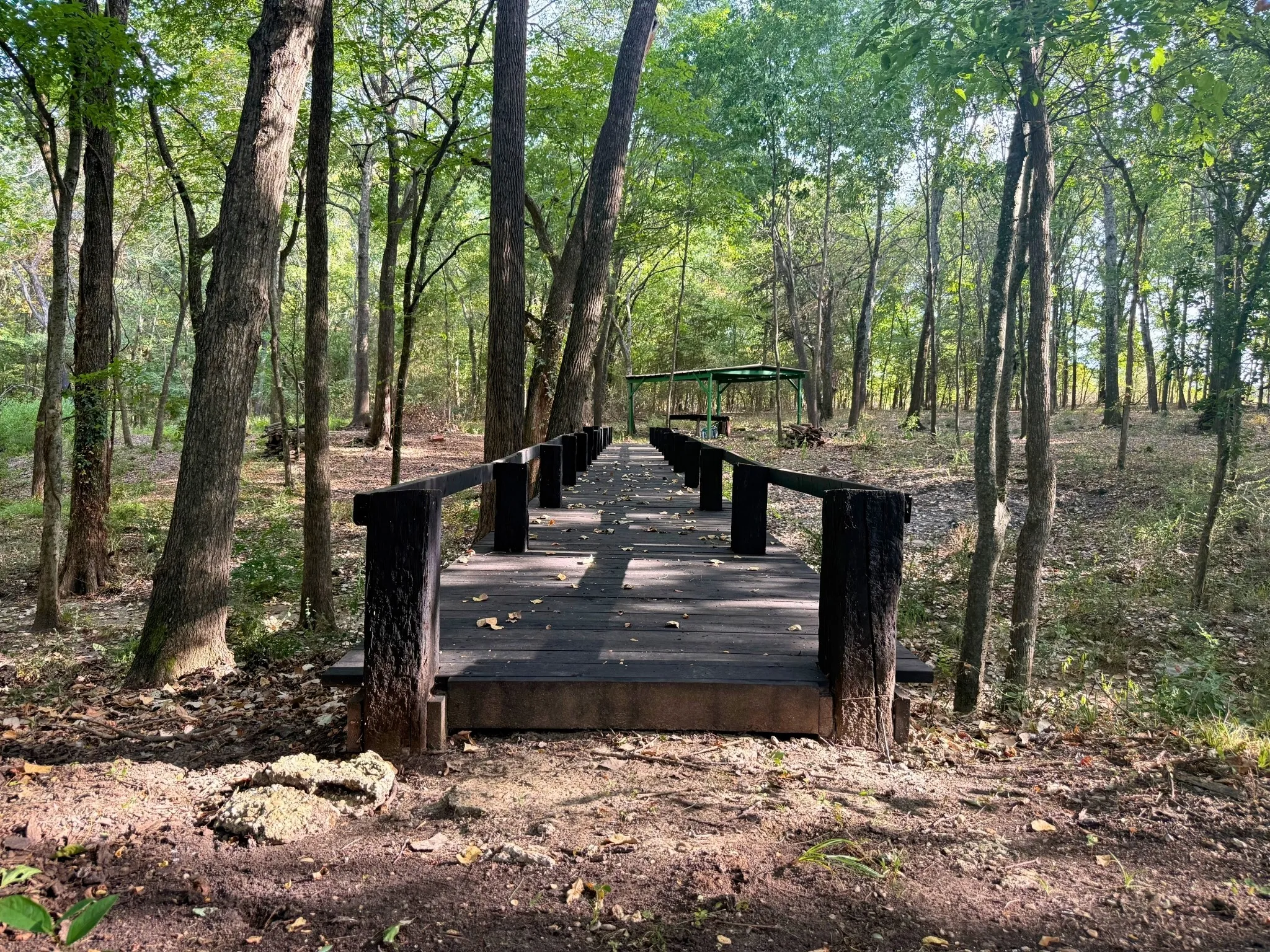 Unimproved Land For Sale in Delta County , 6869 Hwy 24, Klondike, Texas 75448, 0, 0, Garage spaces, 0 Sqft, built in 0, Price $145,000, mls#21364177, Real Estate Agent in Klondike, Homes For Sale in Delta county, Homes For Sale in Klondike, Realtor in Klondike Texas, Real Estate Brokerage Independent Realty Texas, Luminita Cordes Realtor